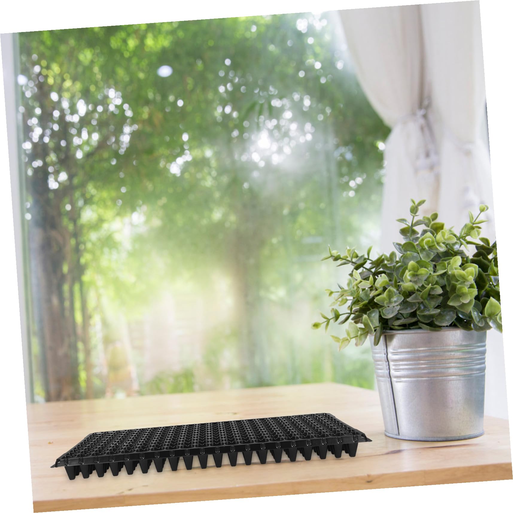 Gadpiparty Plateaux de Culture en PVC Noir 10 Pièces, 200 Cellules