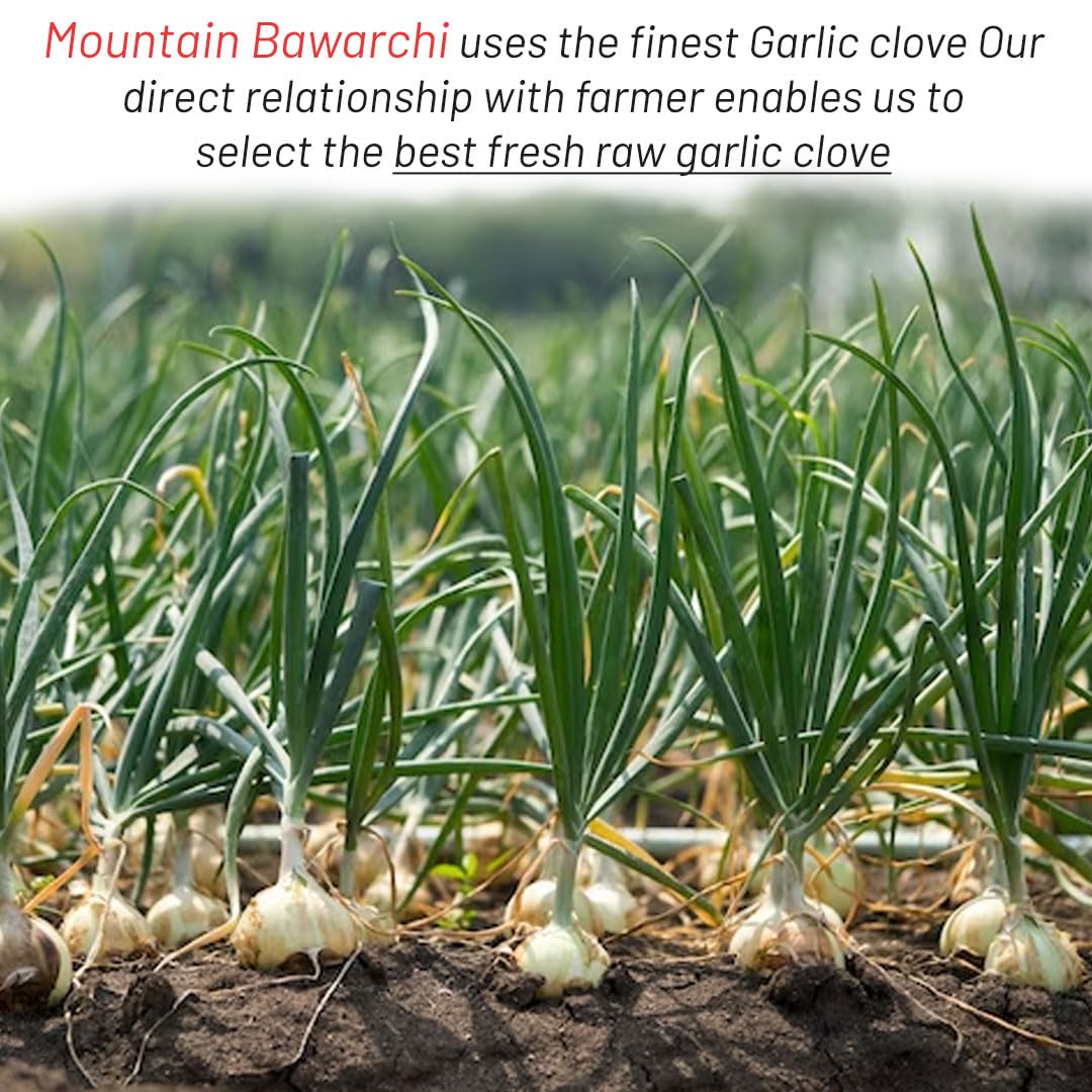 Mountain Bawarchi Fresh Peeled Garlic 500 grams | White Garlic Clove | Garlic Peeled 500 grams, Pack of 1 — Amazon image 5