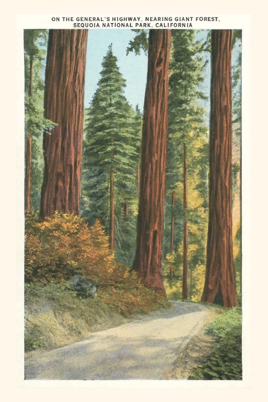 The Vintage Journal Sequoia National Park (Pocket Sized - Found Image Press Journals)