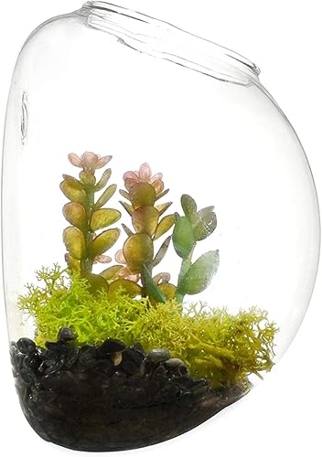 Miniatura 2 de Ecosides Juego de 3 jarrones de pared de vidrio con forma de cuenco de burbujas, terrario para colgar en la pared, macetas de pared para interiores