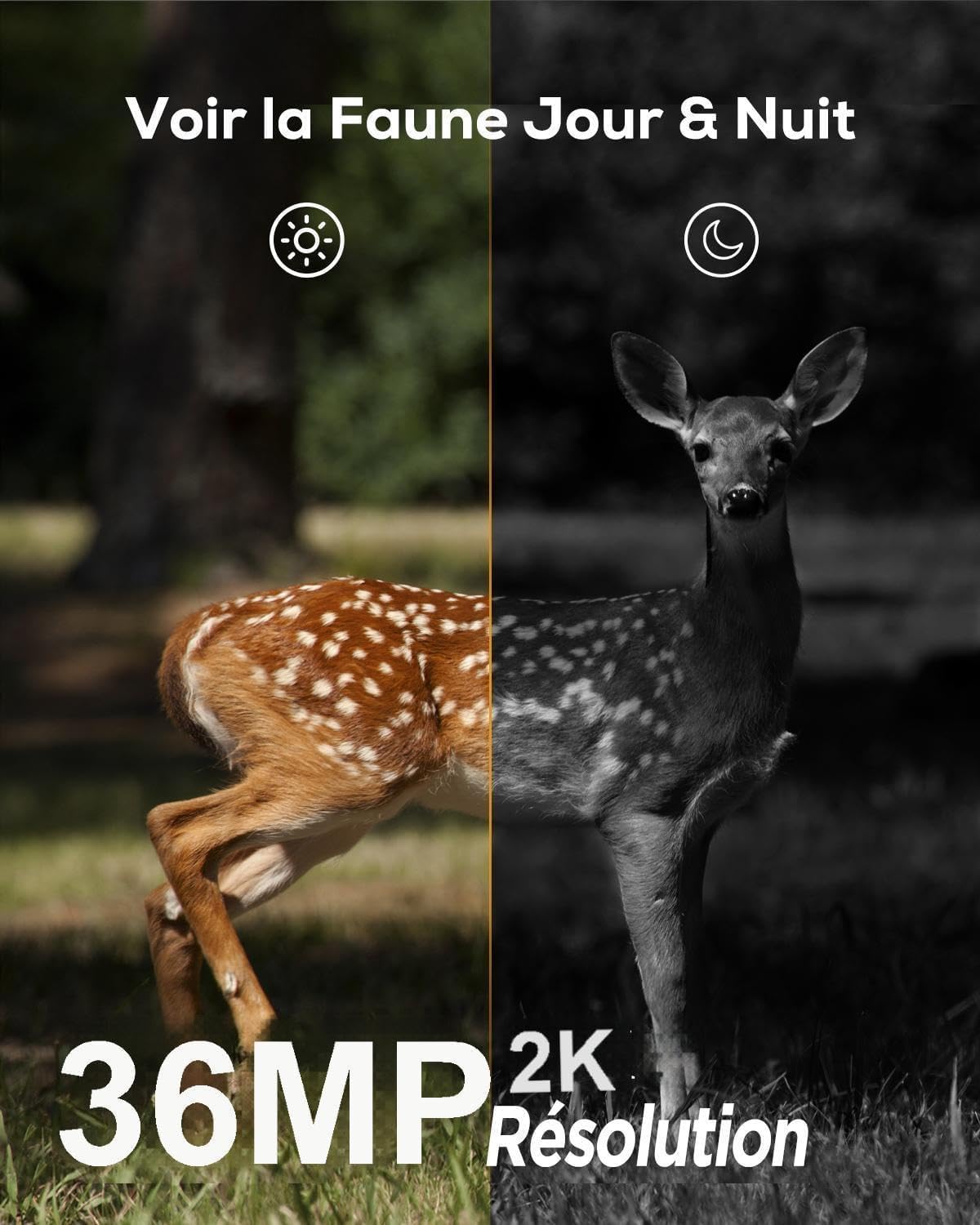 Caméra de Chasse 36MP 2.7K, Caméra Surveillance avec 36 940nm LEDs