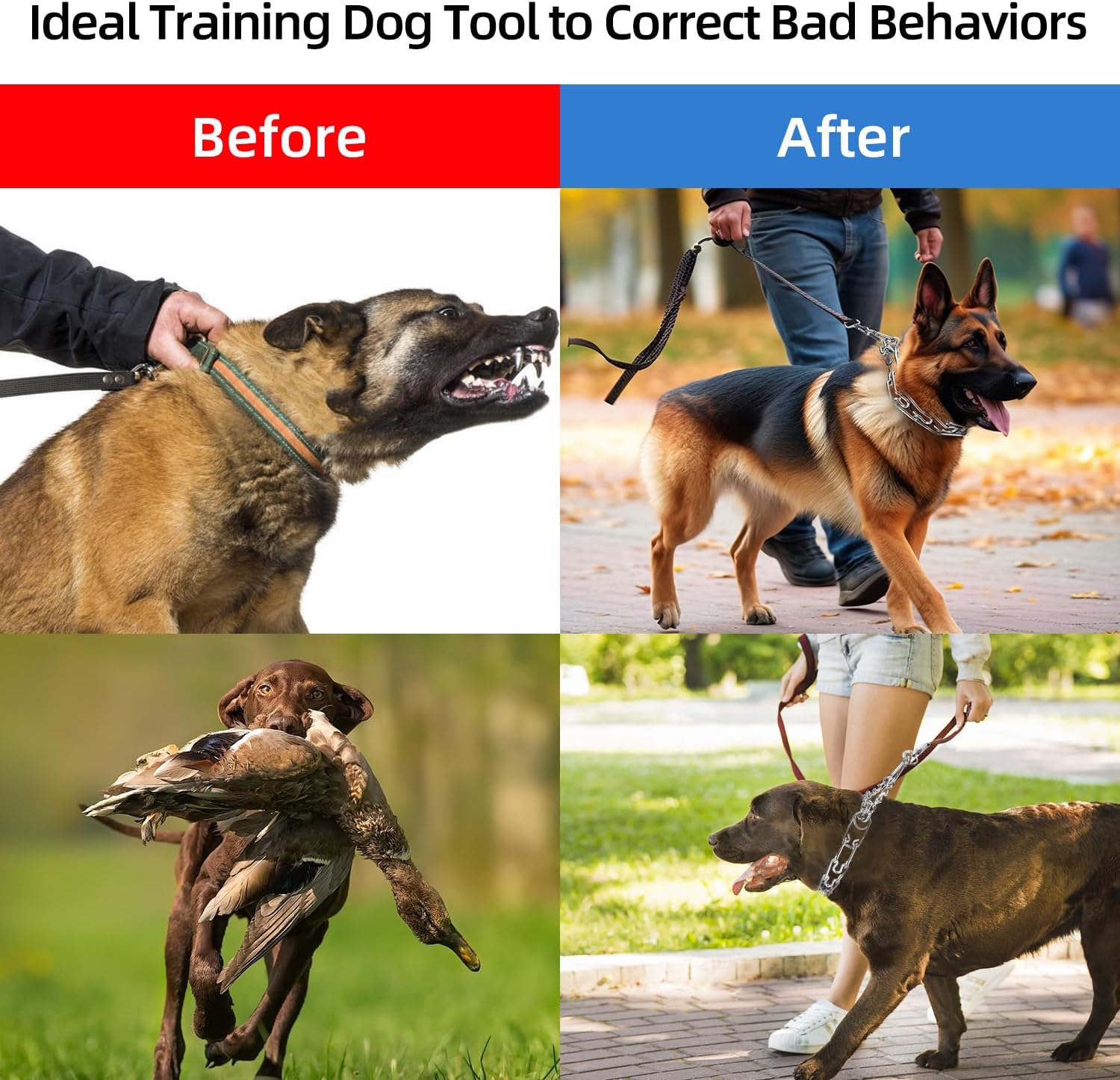 Positive Reinforcement Is Prong Collar Bad For Dogs PetJett Prong