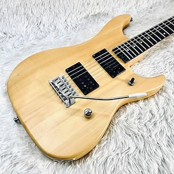 Amazon.co.jp: Washburn N1 PRO ヌーノ ベッテンコートモデル