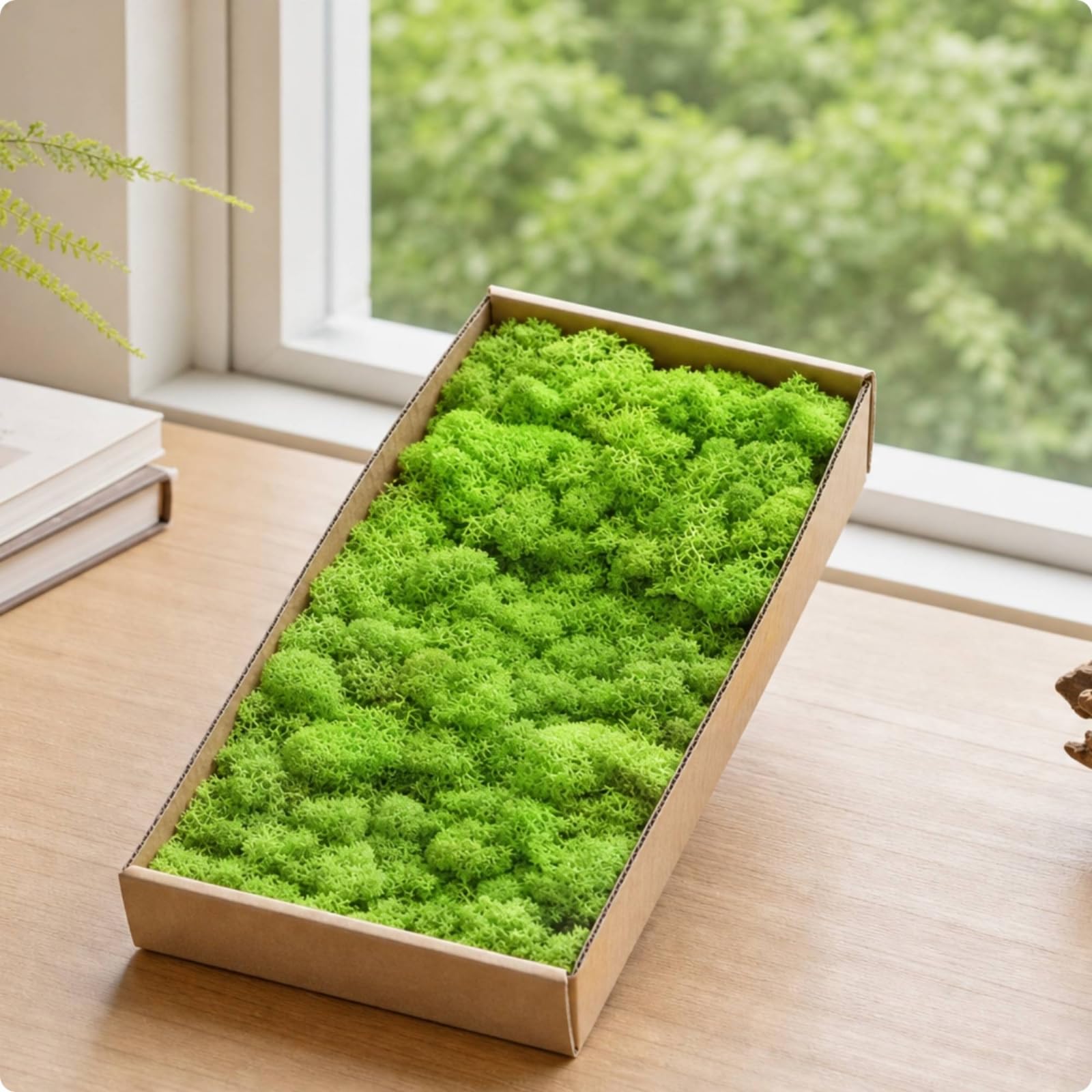 Muschio Stabilizzato Senza Manutenzione Muschio Decorativo Flessibile Piante per Composizioni Floreali, Verde Tenero 5