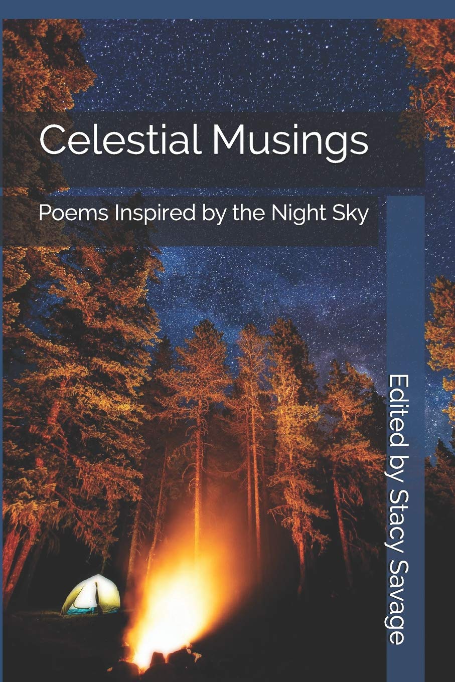 Celestial Musings: Poems Inspired by the Night Sky
