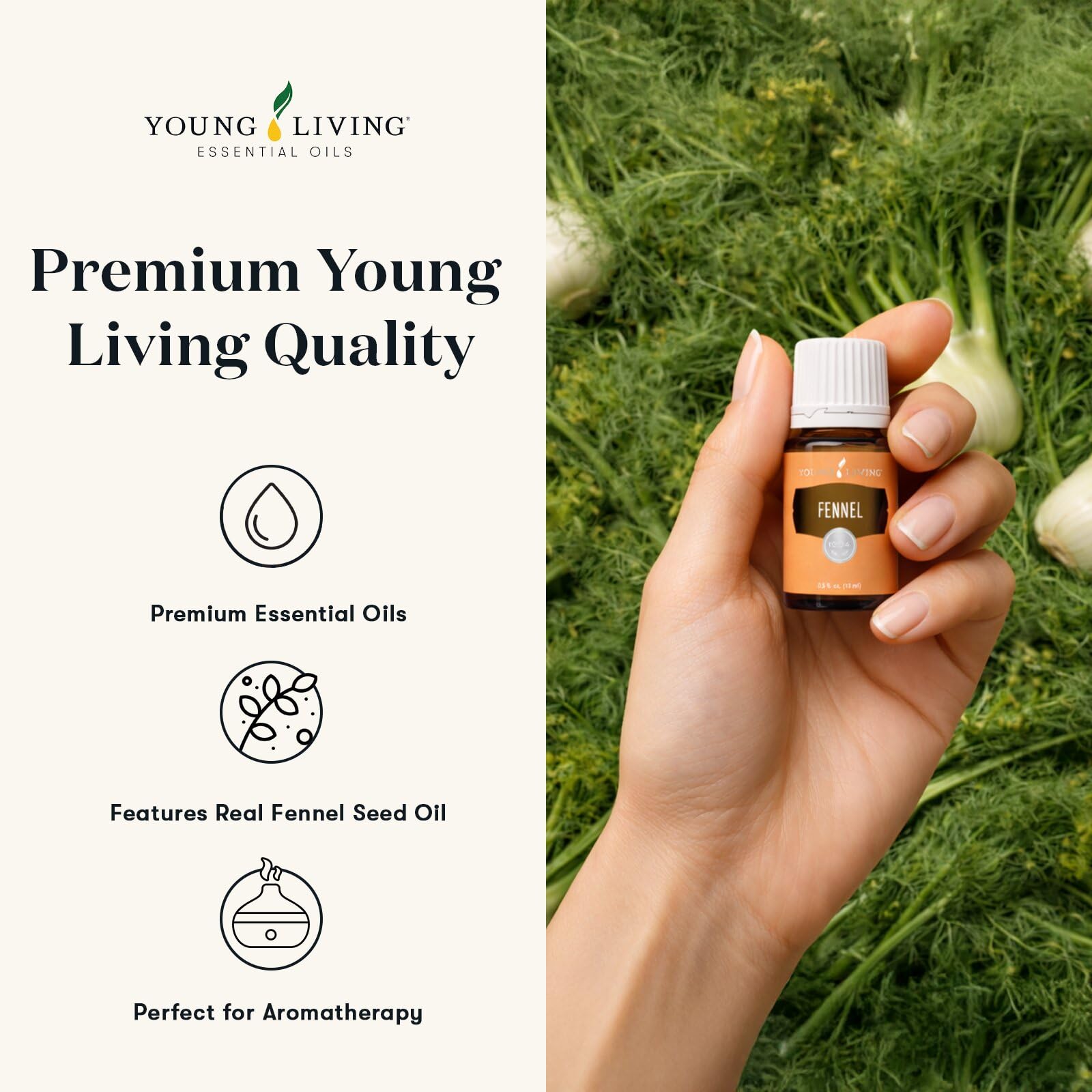 ☆未開封☆Young Living フランキンセンス 15mL Amazon.com: Young Living Fennel Essential Oil | 15 ml | Sweet