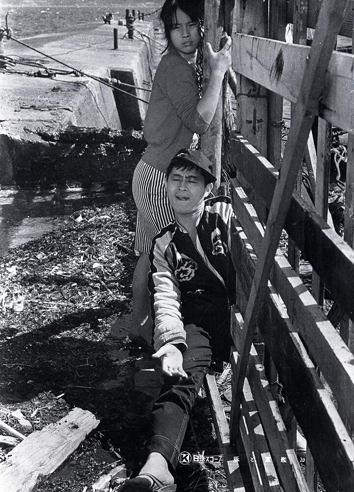 Cochons et cuirassés - Coffret 2 DVD