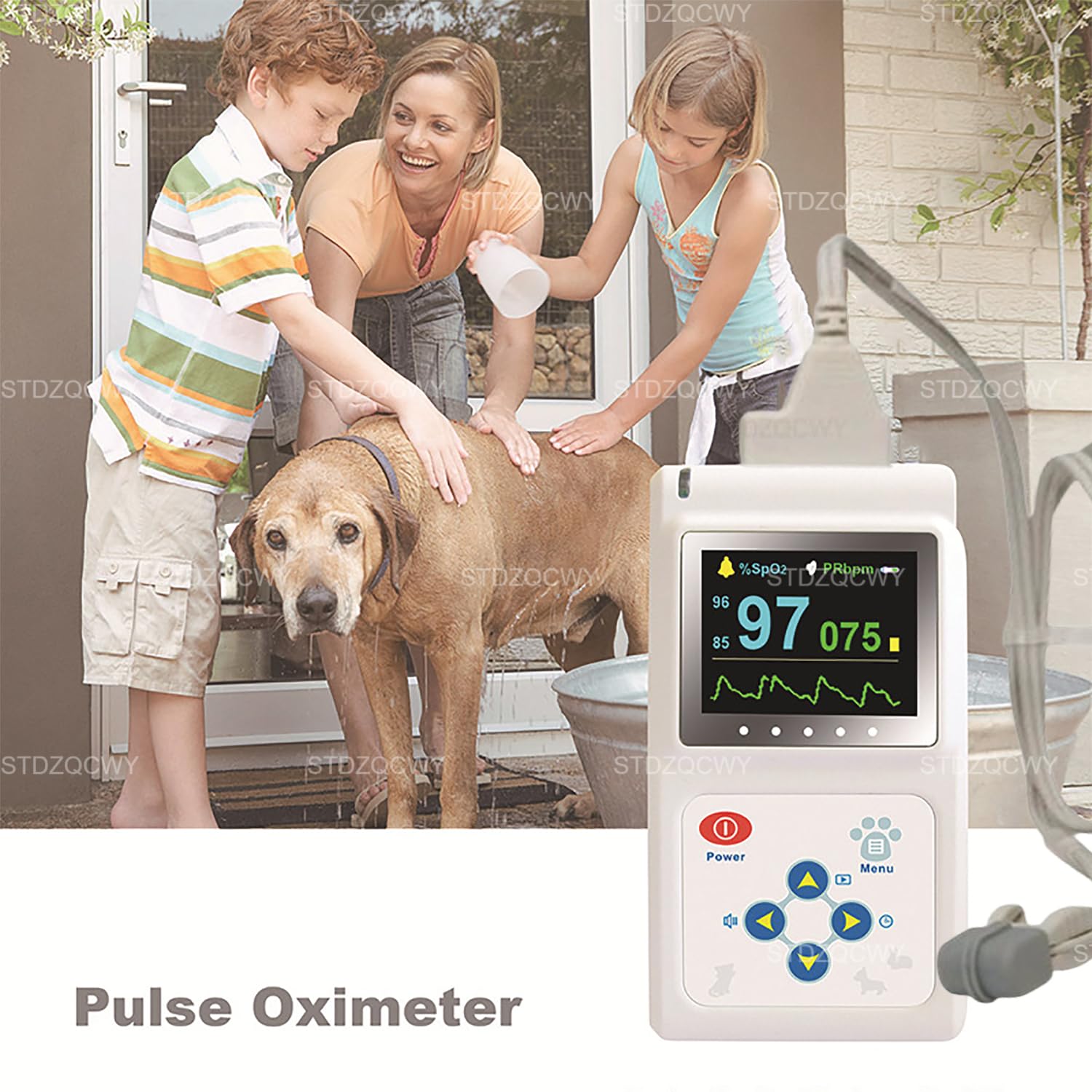 Oxímetro de pulso veterinario de mano, sensor SPO2 para oído/lengua, monitor de frecuencia de pulso con sonda y cable USB, esencial para el cuidado hospitalario de perros, gatos y mascotas