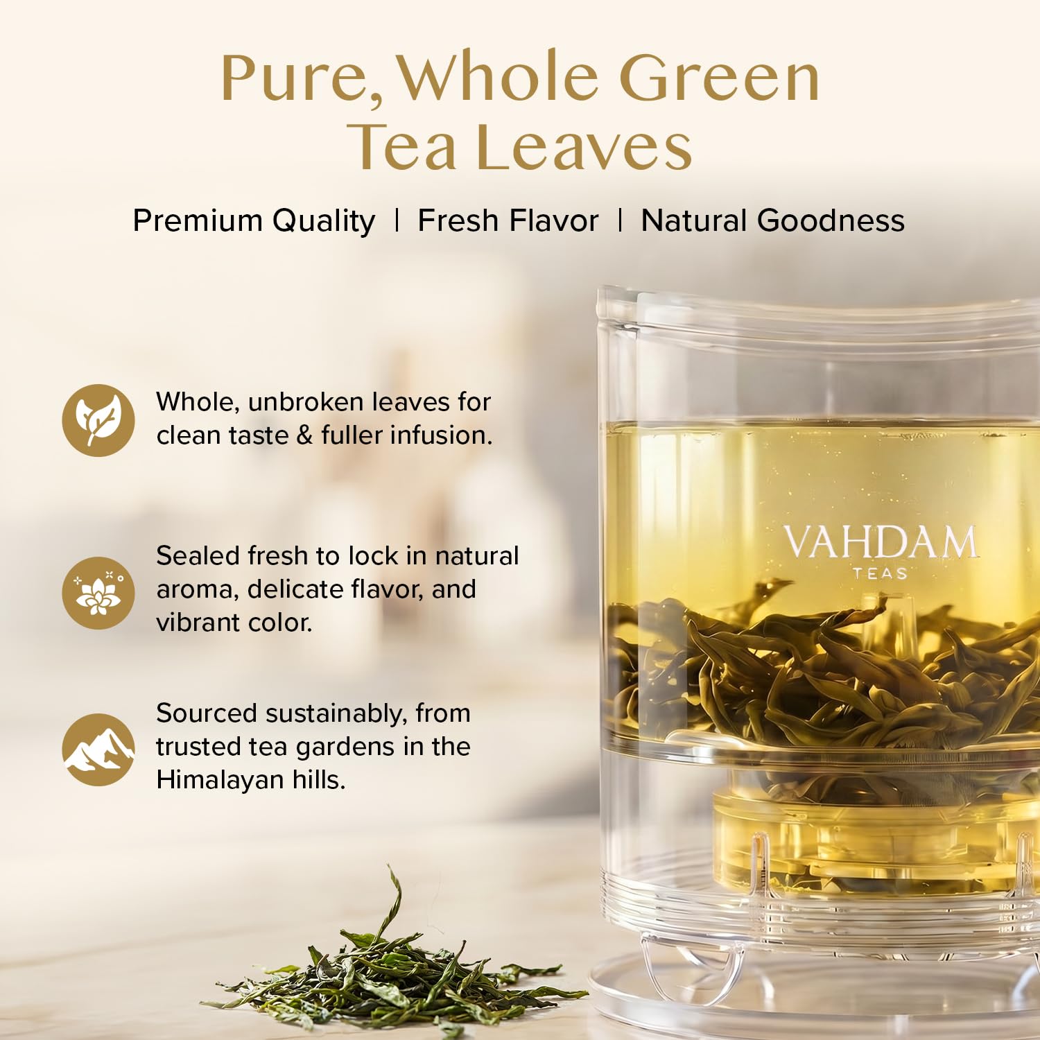 VAHDAM Hojas de té verde de Himalaya 340g Té verde de hojas sueltas cosecha fresca