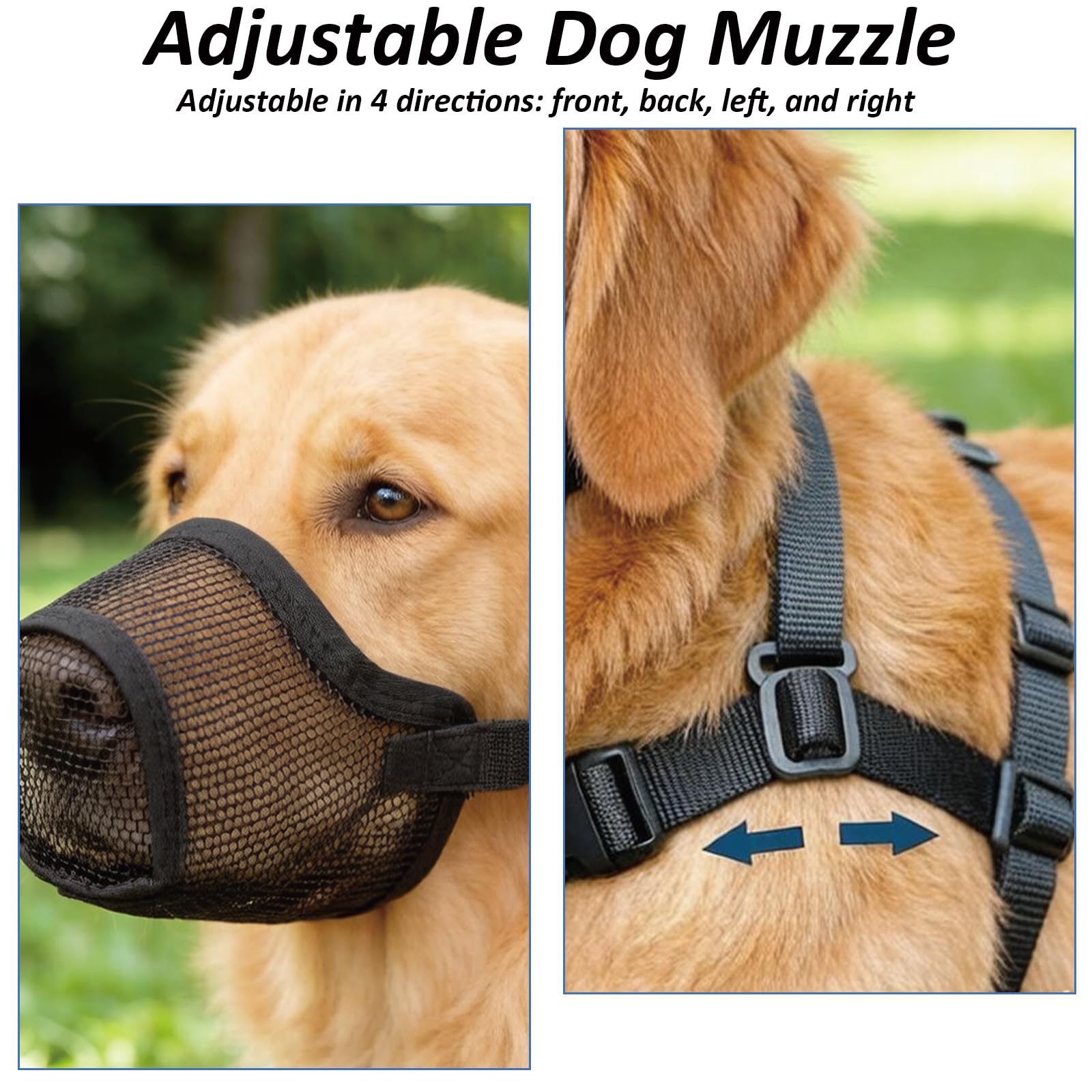 View 3