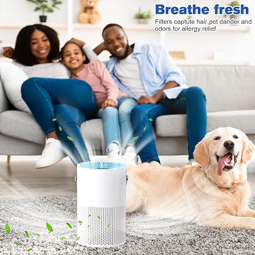 Miniatura 5 de Qualirey Purificador de aire para el dormitorio del hogar, filtro de aire blanco para dormitorio, fumadores, oficina, olores, polen, caspa de