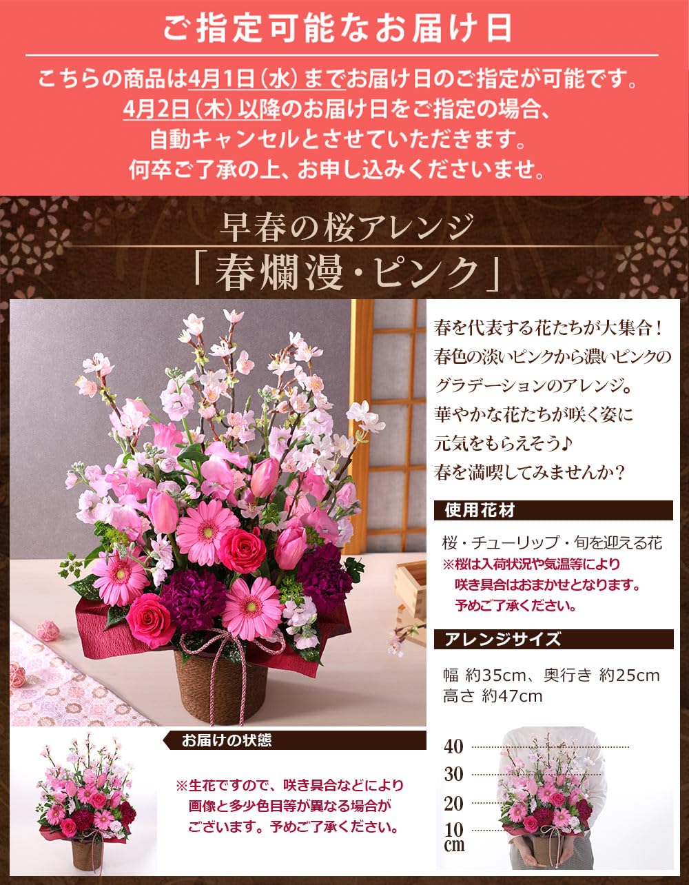 Amazon｜早春の桜アレンジ 春爛漫・ピンク 生花 アレンジメント 誕生日