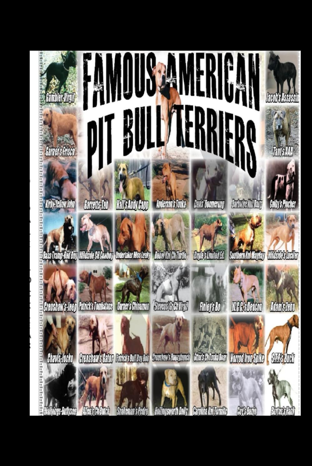 Famous American Pit Bull Terriers