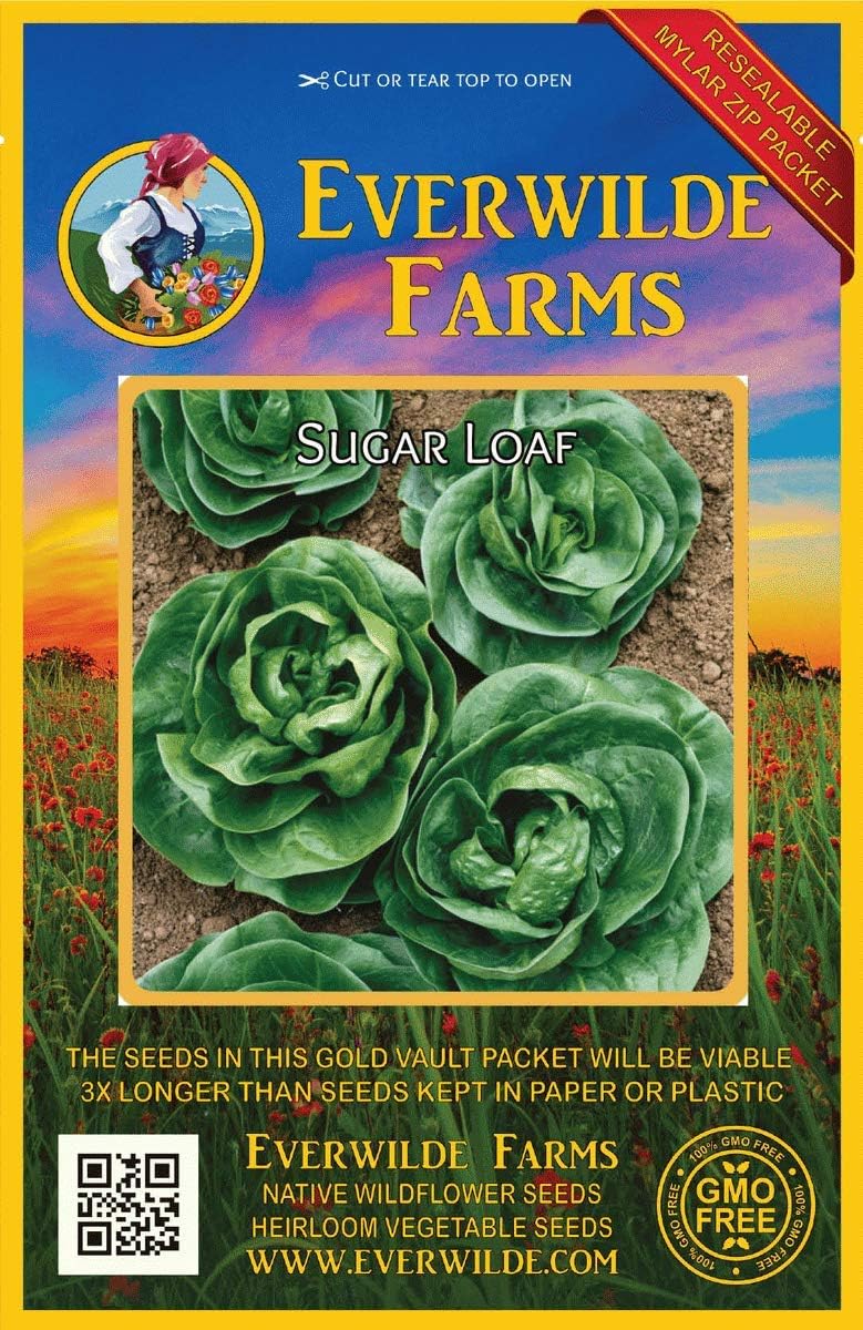 Everwilde Farms 1000 Sugar Loaf Endive Seeds Gold