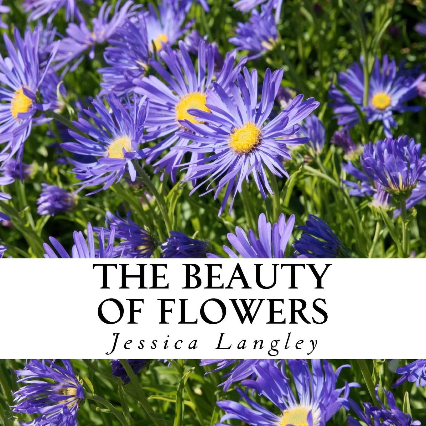 The Beauty of Flowers: A text-free book for Seniors and Alzheimer's patients
