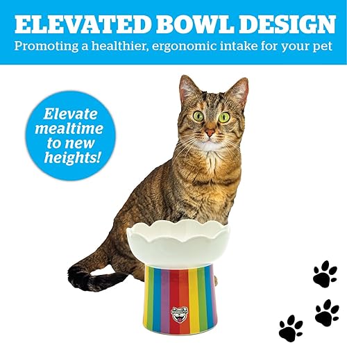Vista 12 de BigMouth Inc Cuenco elevado para gatos con hongo – Cuenco elevado de cerámica para gatos para alimentos, agua, cuencos de comida elevados
