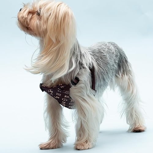 Miniatura 6 de Arnés para perro, arnés sin tirones para perros pequeños, chaleco acolchado suave ajustable para perro, chaleco Oxford reflectante sin