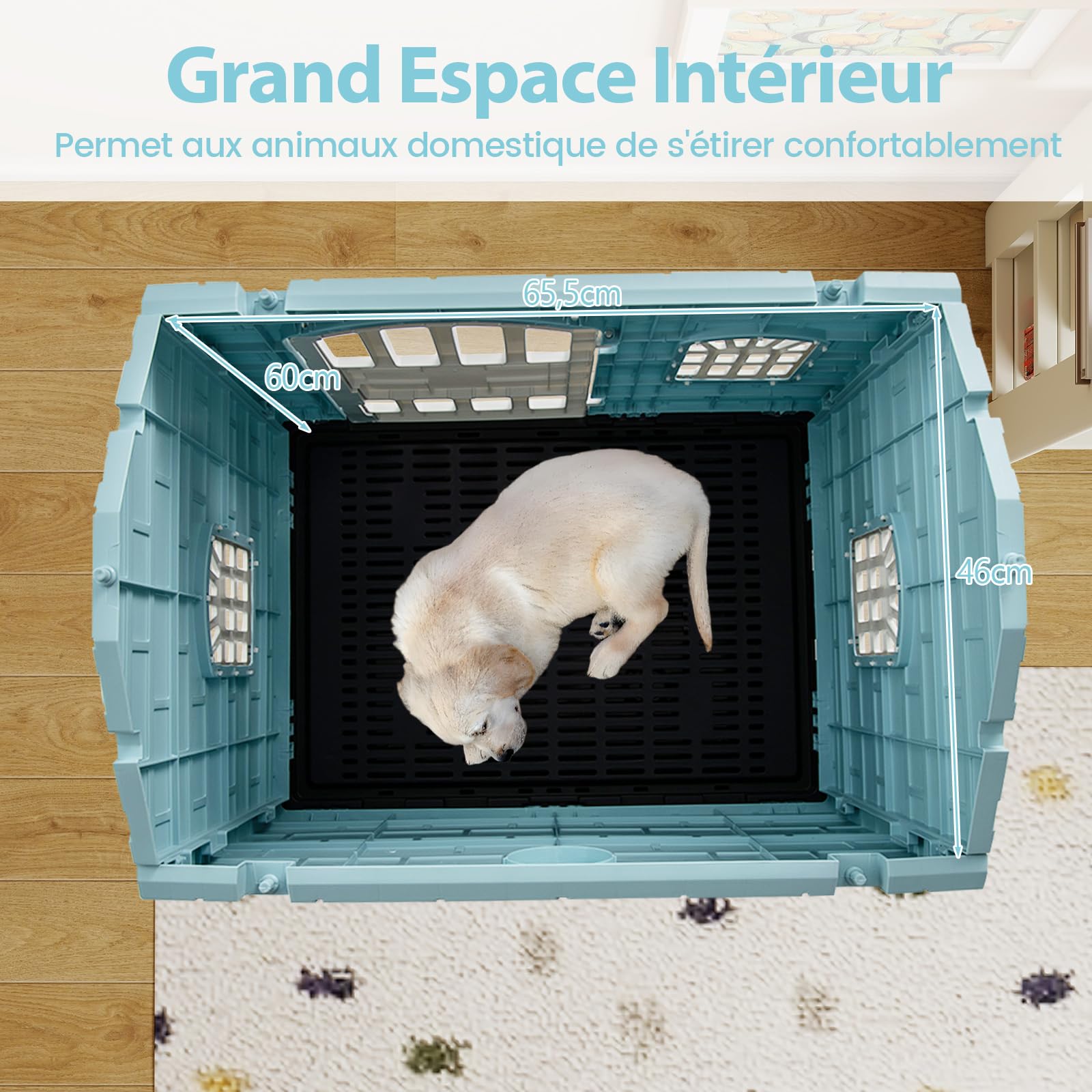 COSTWAY Niche pour Chien Pliable Exterieur Interieur, Plateau de Toilette Amovible, Porte Verrouillable, Cage Chien Chat en PP, 3 Fenêtres, Toit Incliné, pour Chiot Chat Lapin (75 x 57 x 68 cm,Bleu)