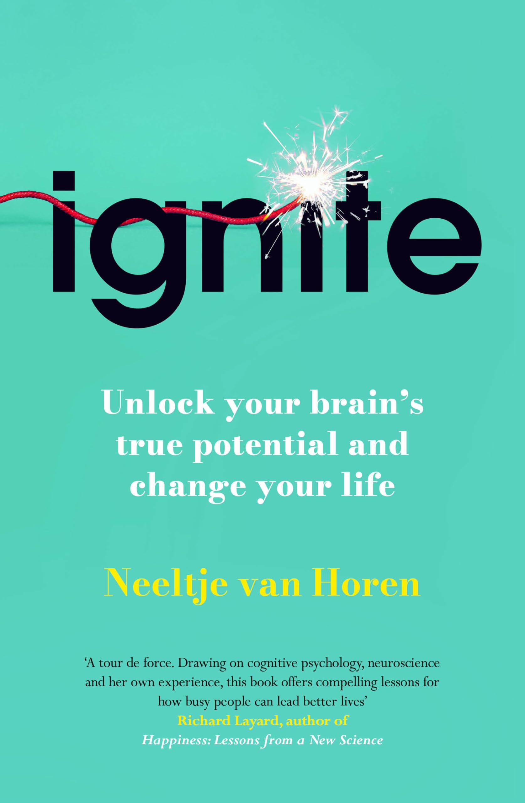 Ignite: How Small Habits Rewire Your Brain for Lasting Change, Focus and Success