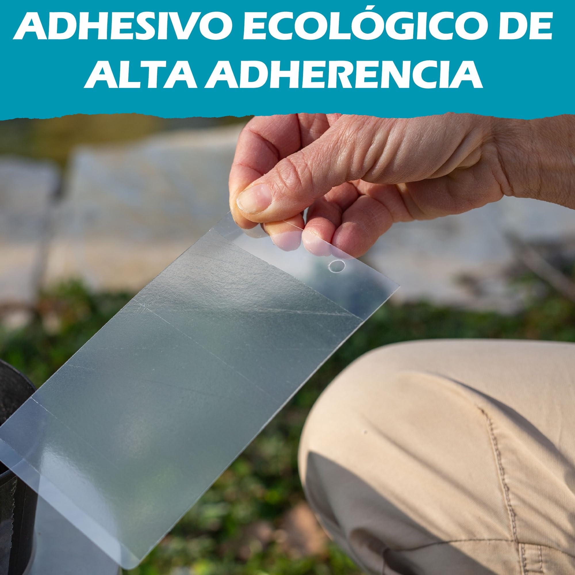 Mostiky: 30 Tarjetas Adhesivas compatibles con Biogents BG-GAT. Paquete de 30 Tarjetas Adhesivas para capturar Mosquitos Tigre Antes de Que pongan Sus Huevos.