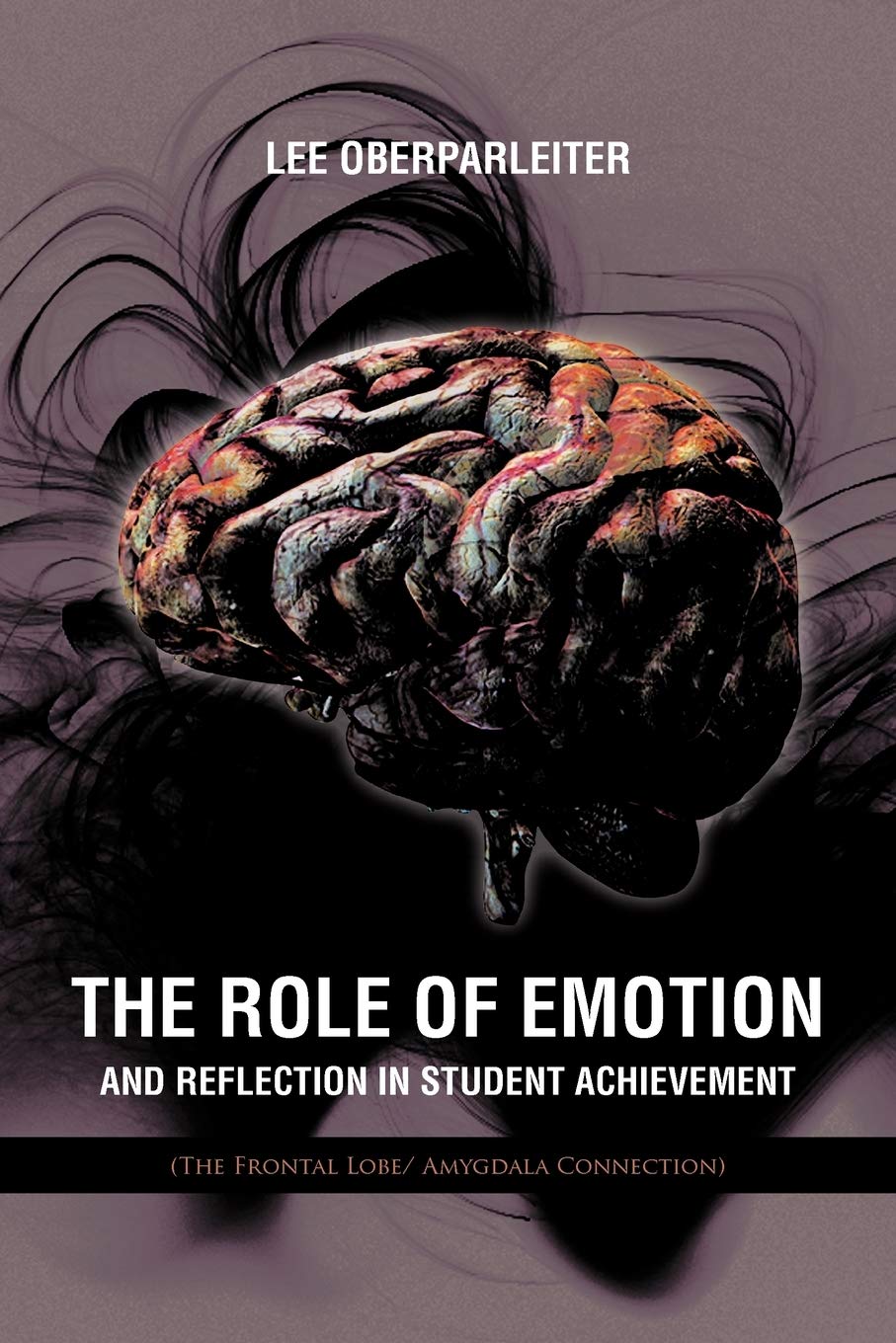 The Role Of Emotion And Reflection In Student Achievement: (The Frontal Lobe/ Amygdala Connection)