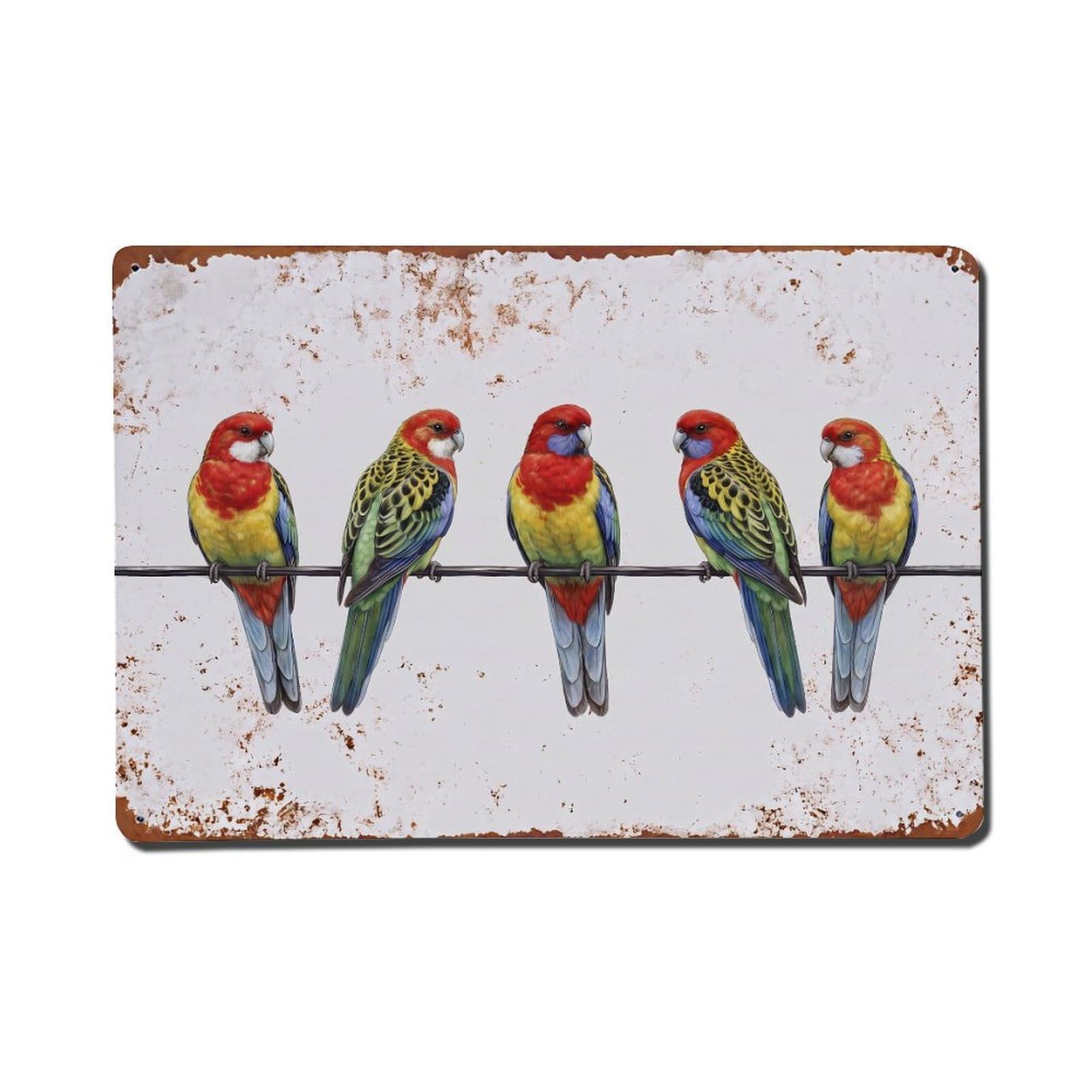 Vintage Retro Birds Eastern Rosella Metal Tin Sign