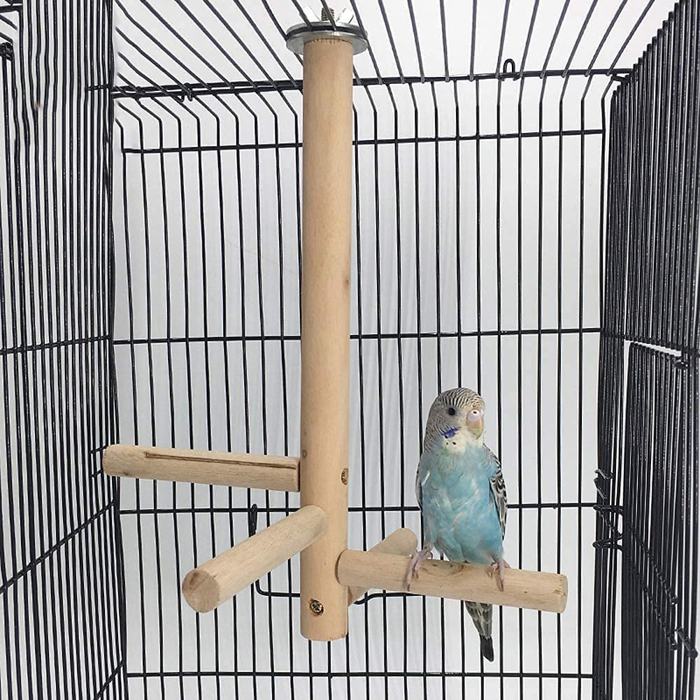 See full amazon price history chart for cozy tossy Small Birds Parrot Perch Toys Natural Wood Jumping Standing Toy cozy tossy Small Birds Parrot Perch Toys Natural Wood Jumping Standing Toy (B096SH17HQ) Amazon Price History, Amazon Price Tracker