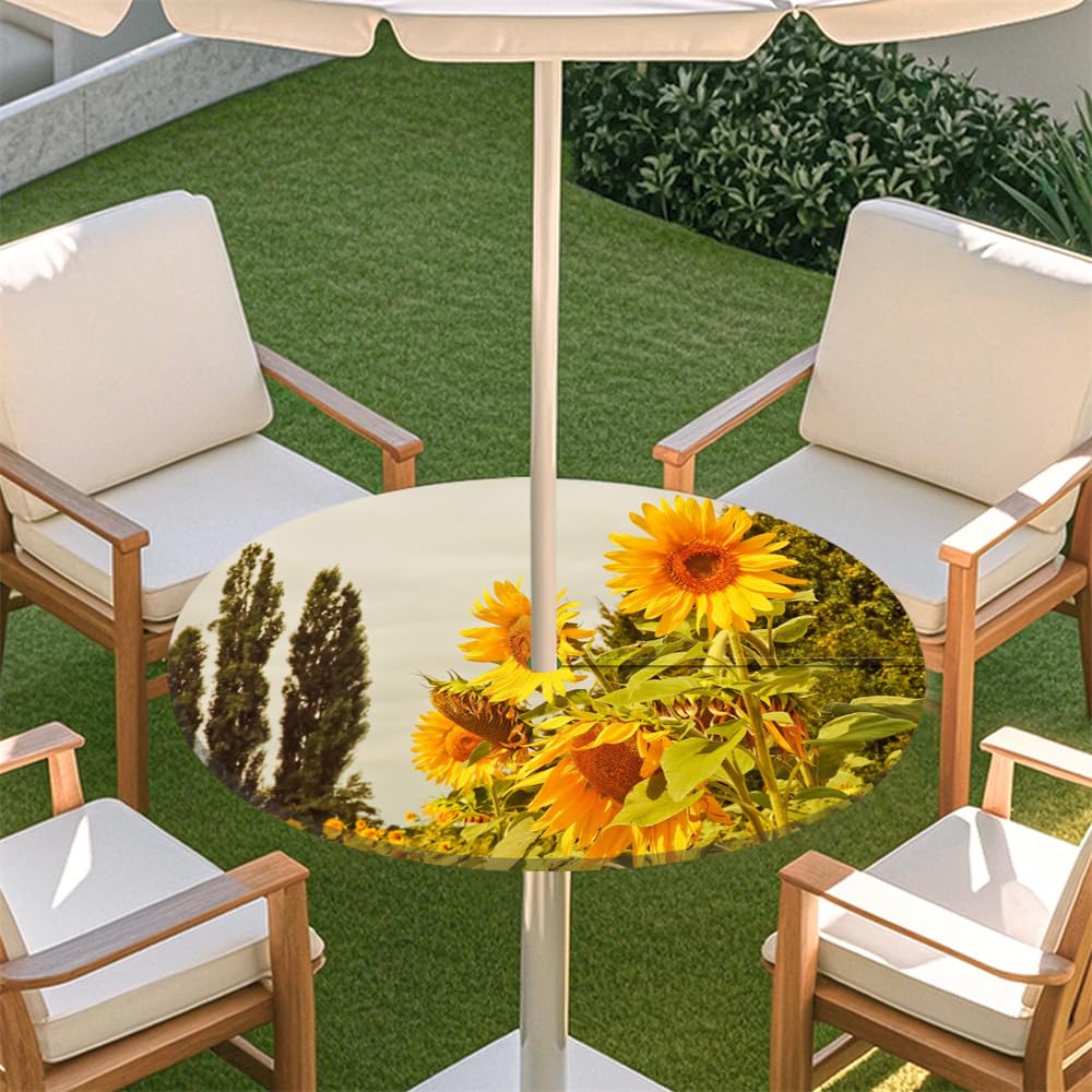 Fasbuy Outdoor Round Tablecloth with Umbrella Hole and Zipper, Table Cloth Waterproof, 3d Printed Wipeable Tablecloths 31-54" Elastic Edge for Patio Garden (old photo,S)