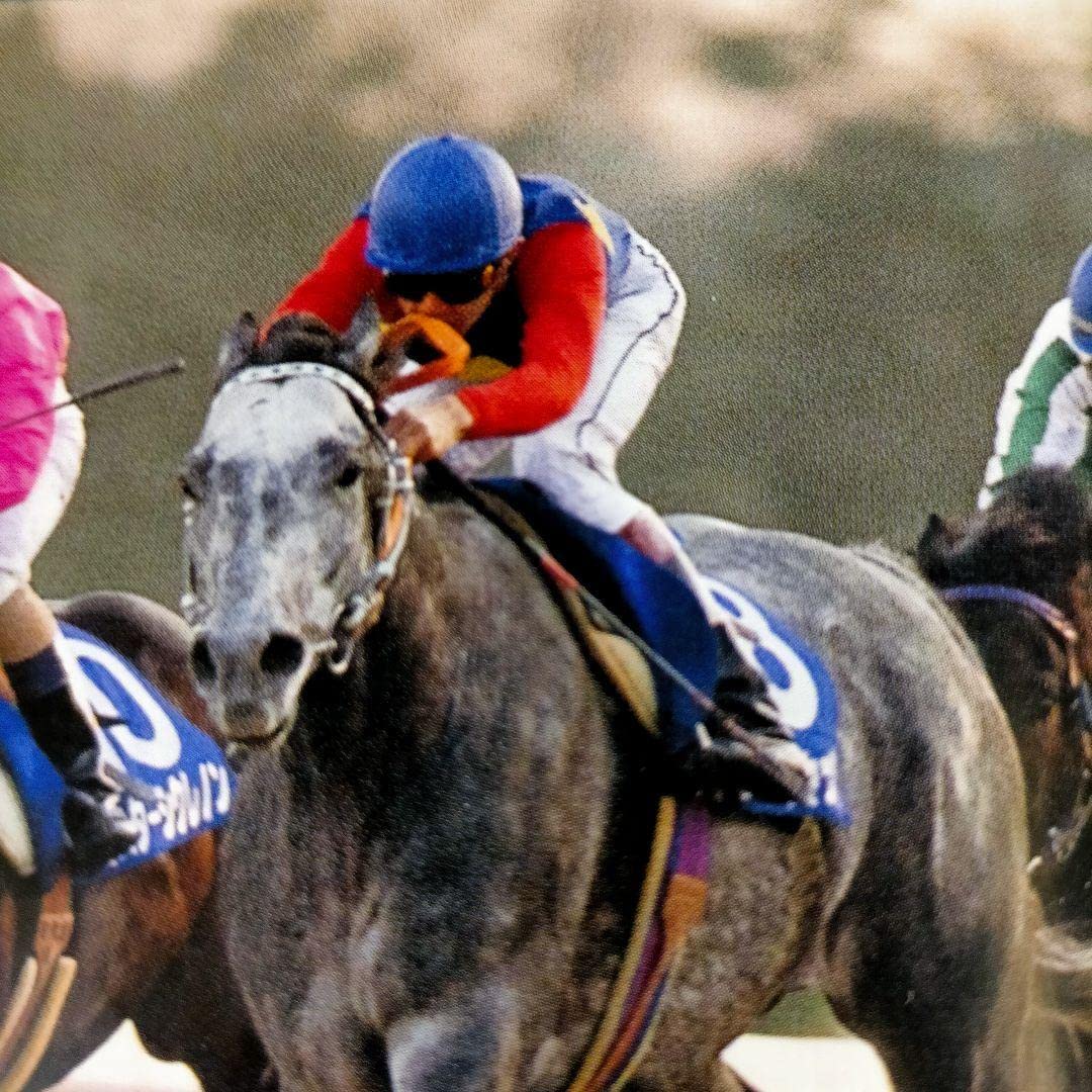 Amazon.co.jp: ??。奇跡のラストラン第35回有馬記念「オグリ