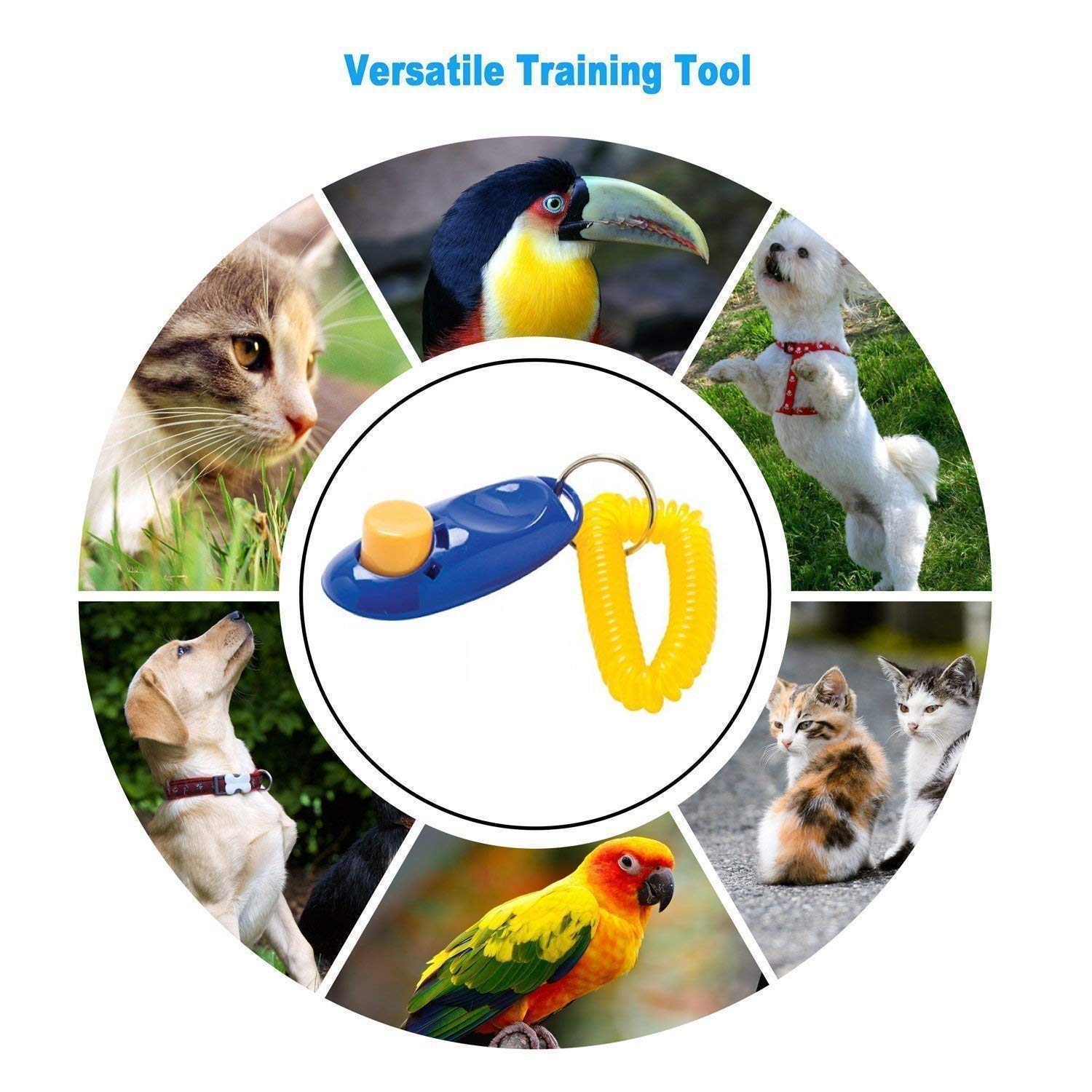 PSK Pet Training Clicker with Wrist Strap for Dogs, Cats and Birds, Colour May Vary 2