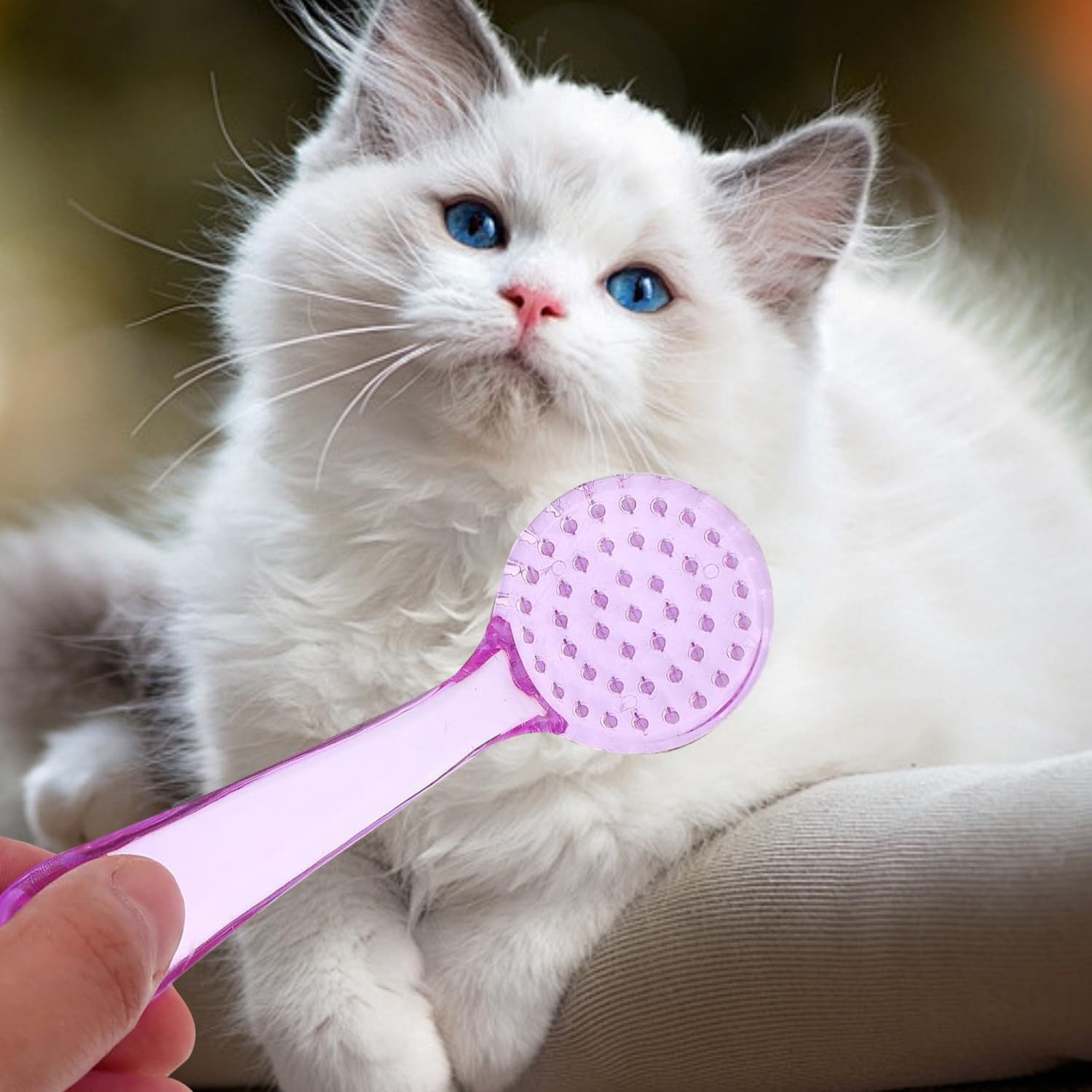 Lot de 3 peignes de toilettage et de bain pour animaux de compagnie, brosse à ongles pour cochon d'Inde