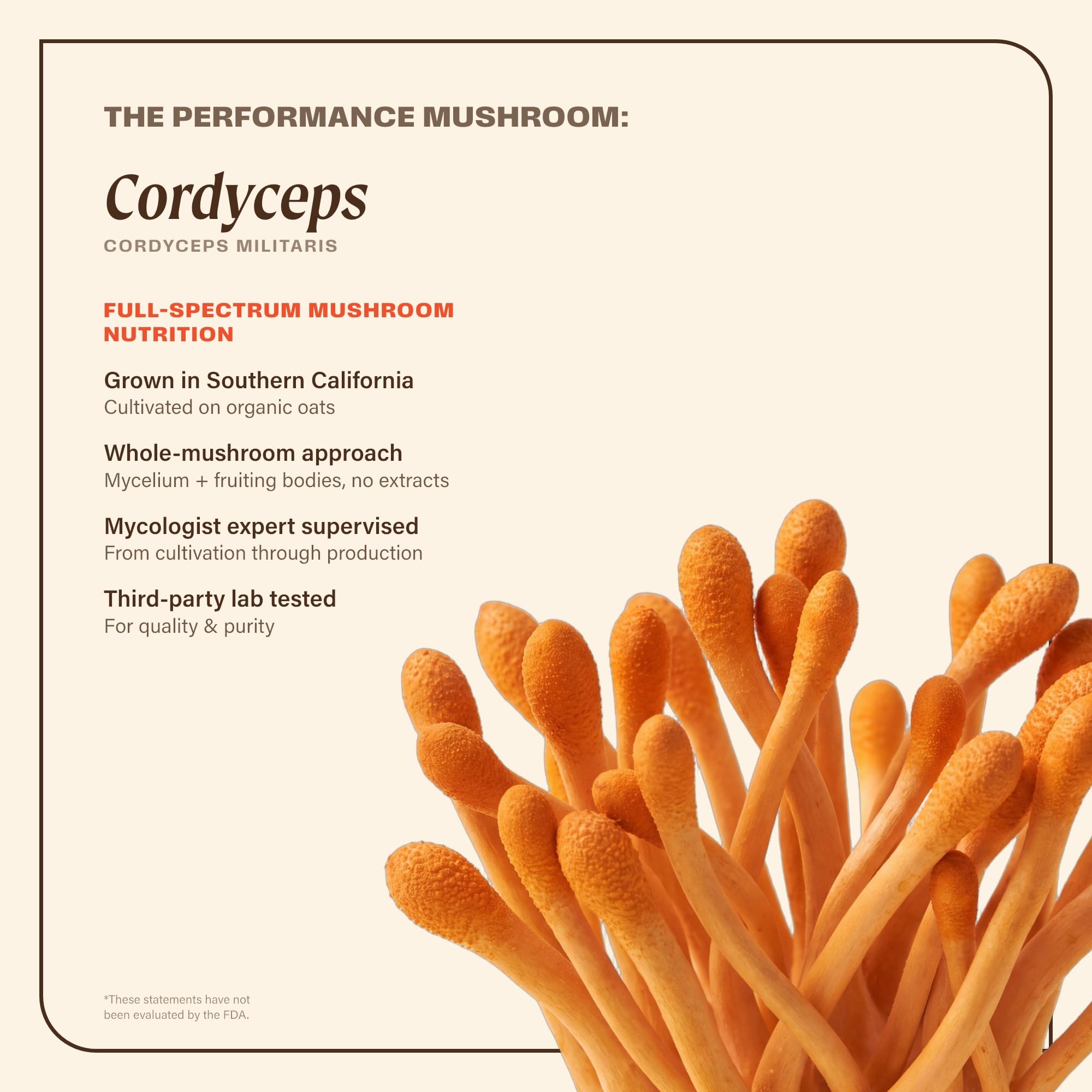 OM MUSHROOM SUPERFOOD Cordyceps Mushroom Capsules Superfood Supplement, 90 Count, 30 Days, Organic Energy Supplement for Stamina and Endurance — Amazon image 3