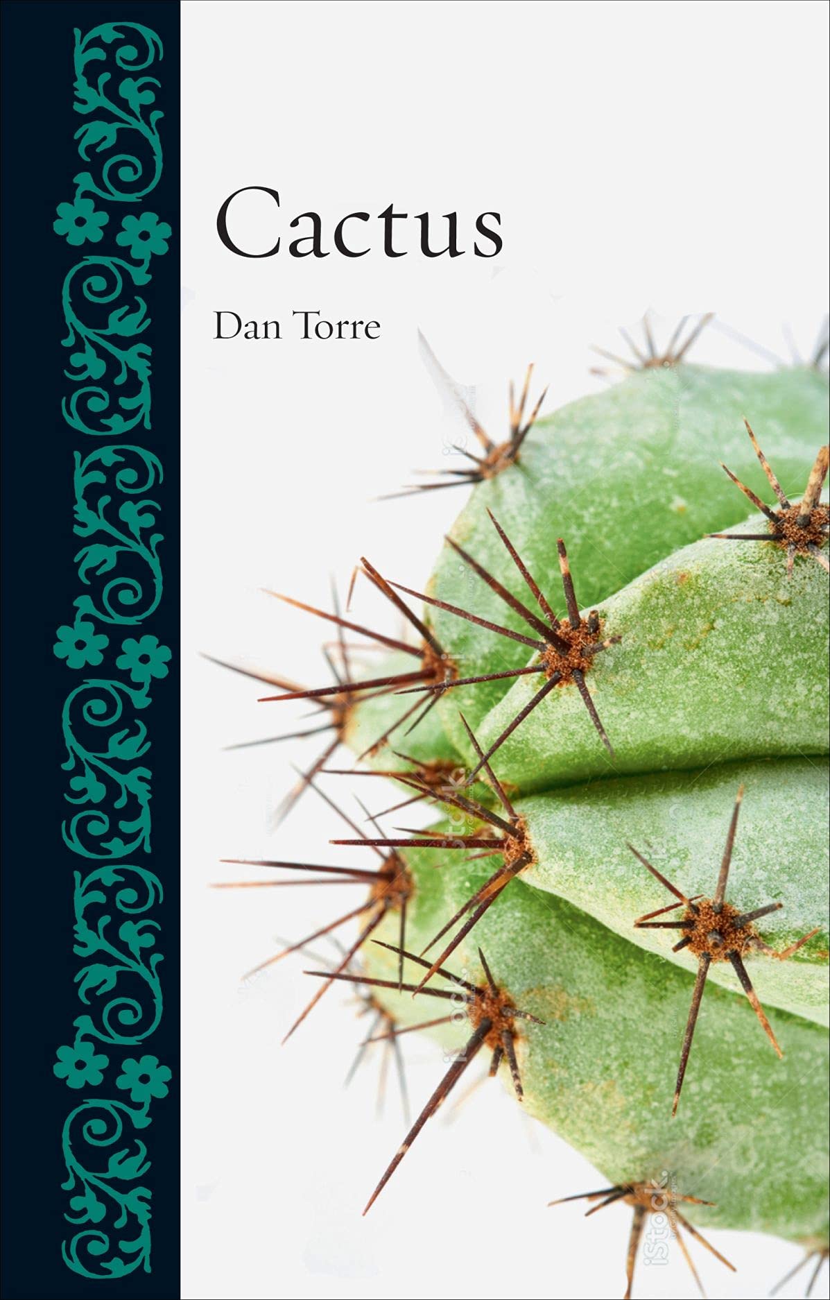 Cactus by Dan Torre HARDBACK 9781780237220