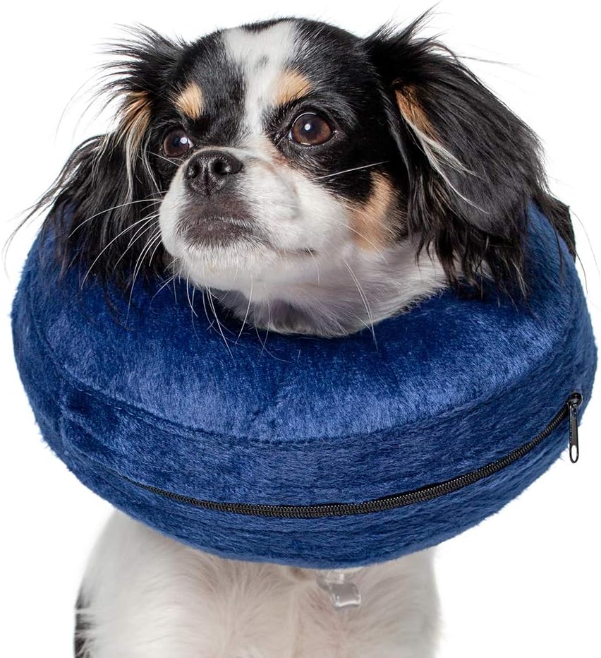 Calm Paws Basic Inflatable Collar XSmall