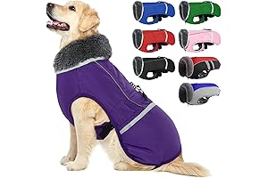 QBLEEV Warm Dog Coat for Winter