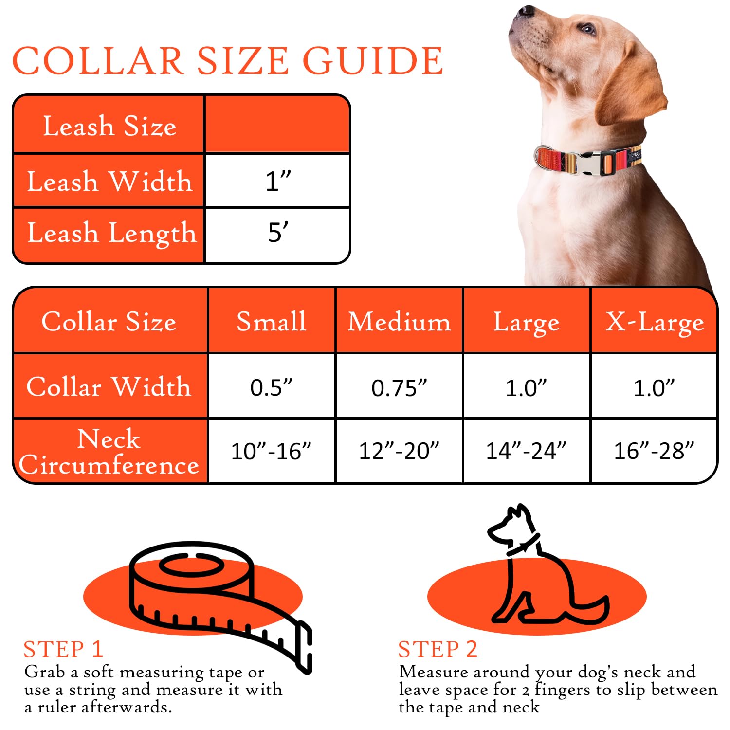 Gilley&Co Hundehalsband & Leine Set – Nautisches Design, 4 Größen, Edelstahl-Schnalle