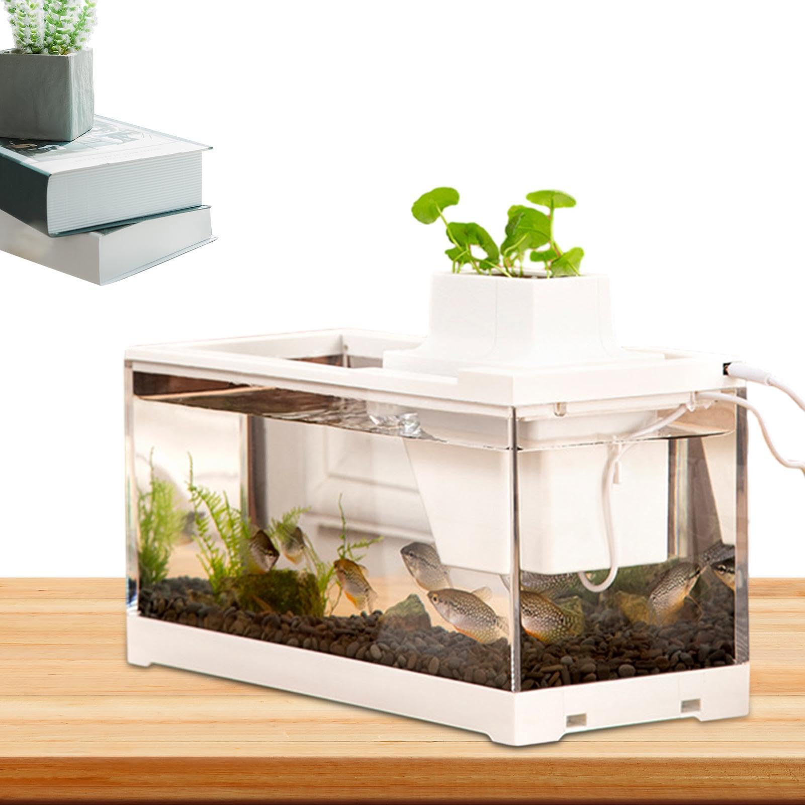 Acuario de Escritorio, pecera de Escritorio Acuario pequeño, Abierto, | Baja Tensión Mini pecera transparente para escritorios, mesas, estantes, dormit