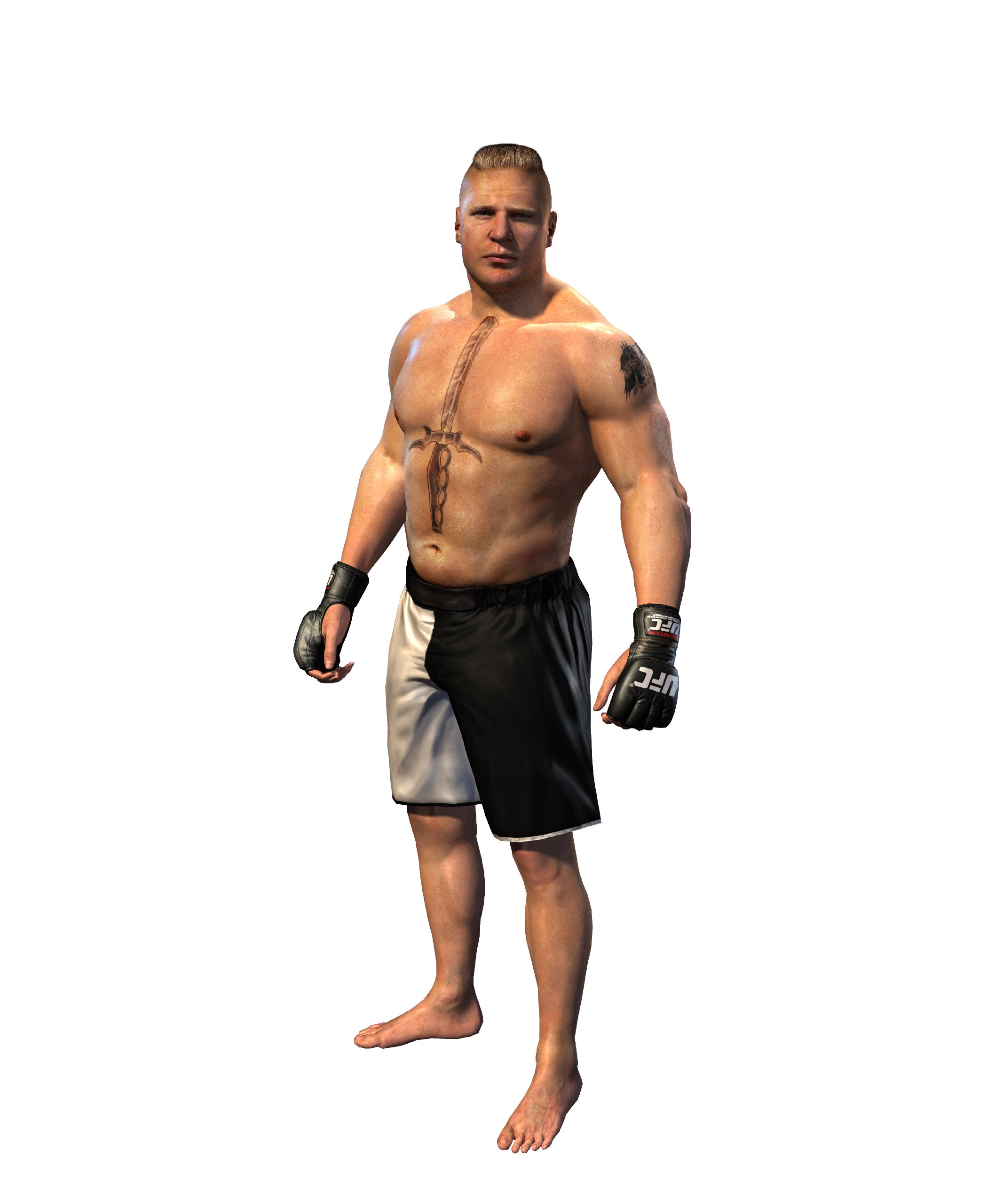 THQ UFC Undisputed 2010