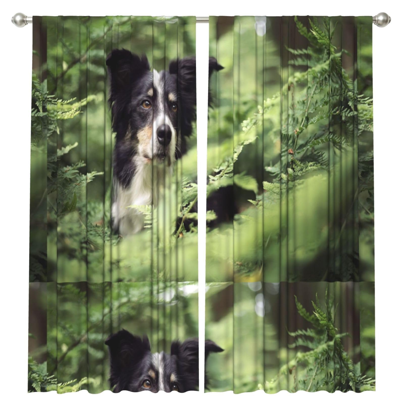 InOmak Border Collie Dogs Bokeh Pets Black White, 2 Panels Window Curtains 52 x 84 Inch Blackout Curtains for Living Room Bedroom