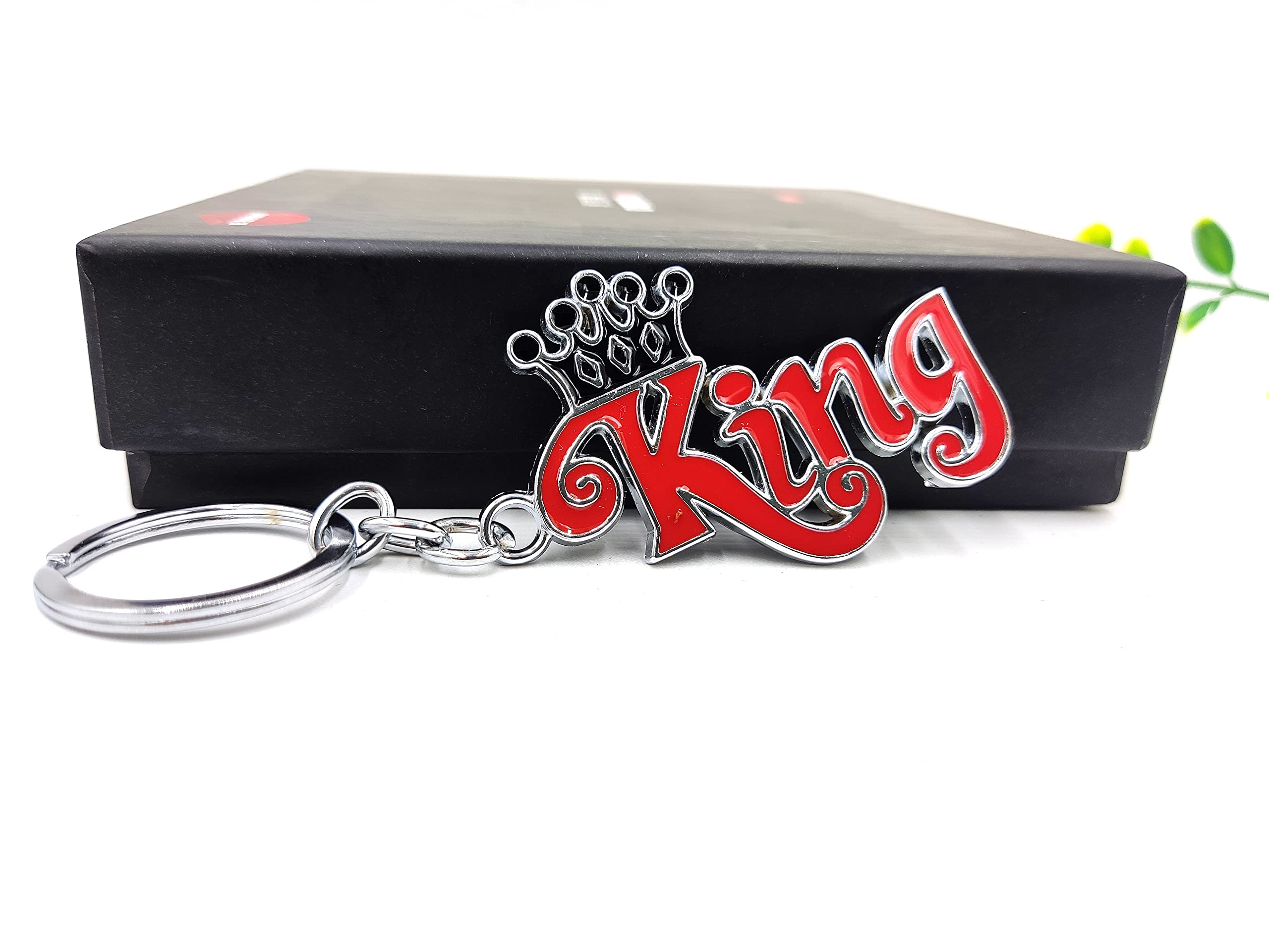 Metal Keychain/Keyring/Key Chain (Multicolour) (Model 5)-image-35