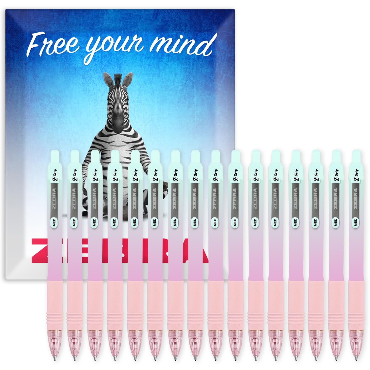 Zebra Z-Grip Smooth Ballpoint Pen - 1.0mm Nib - Black Ink - Pastel Ombre Barrels - In Cardboard Gift Box Packaging (Pack of 16)