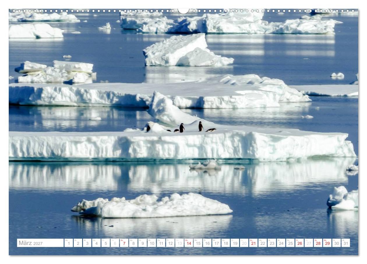 CALVENDO - Antarktis - Das Reich der Pinguine (hochwertiger Premium Wandkalender 2027 DIN A2 quer), Kunstdruck in Hochglanz: Antarktis - Lebensraum der Pinguine - Ein Blickfang im Büro und zu Hause