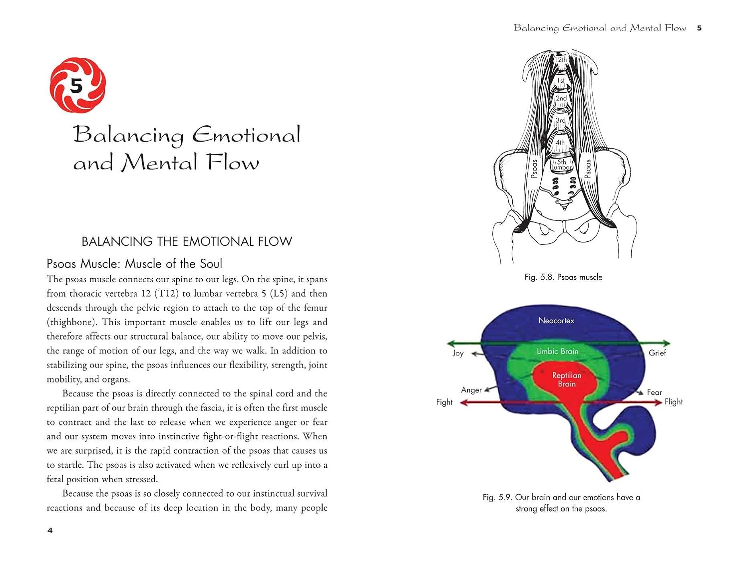 Craniosacral Chi Kung: Integrating Body and Emotion in the Cosmic Flow