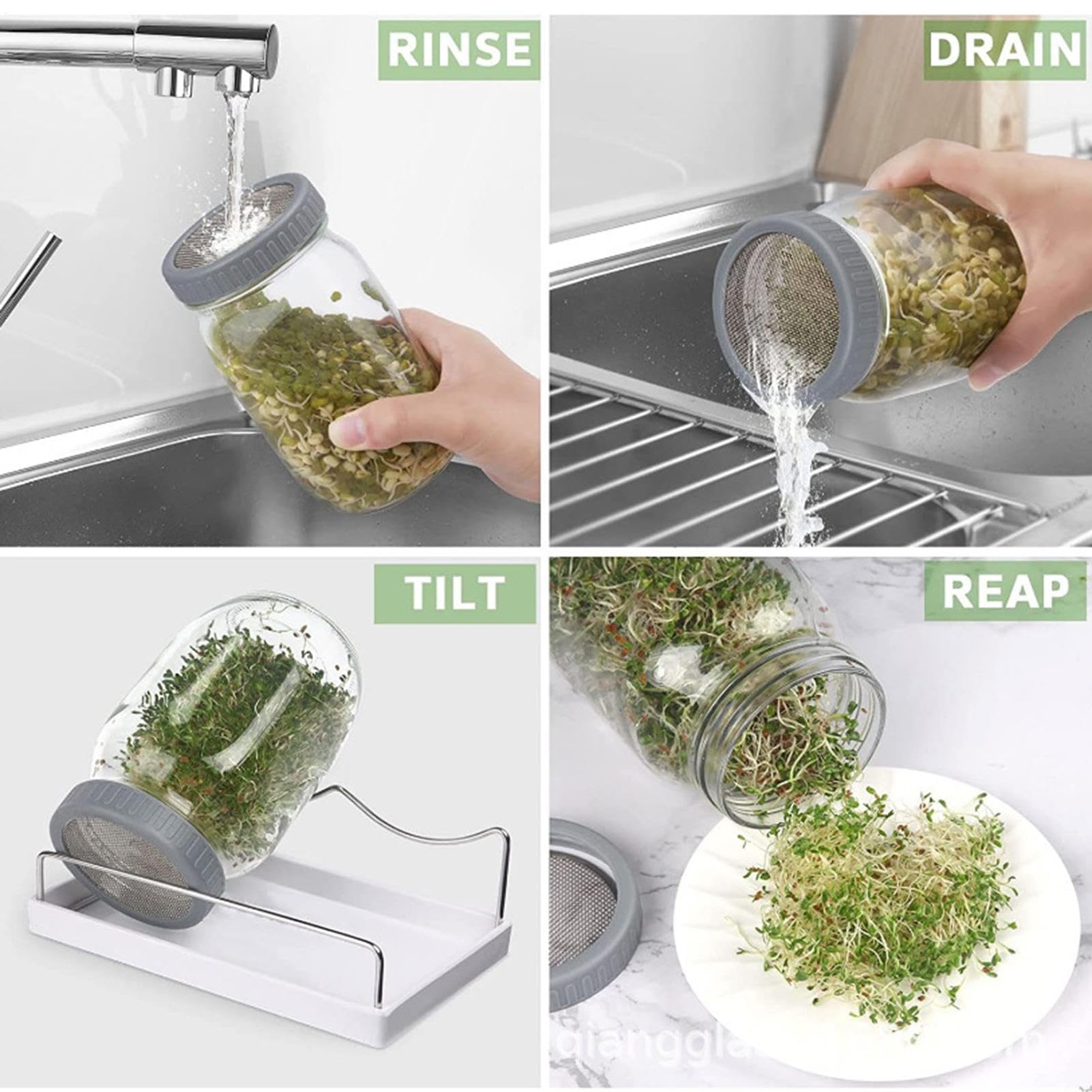 Couvercles de germination en verre | Lot de 2 pots en verre germé de 950 | ml | Kit de germination en verre Jasr avec opaque pour cultiver du brocoli, de la luzerne et des haricots mungo ( non