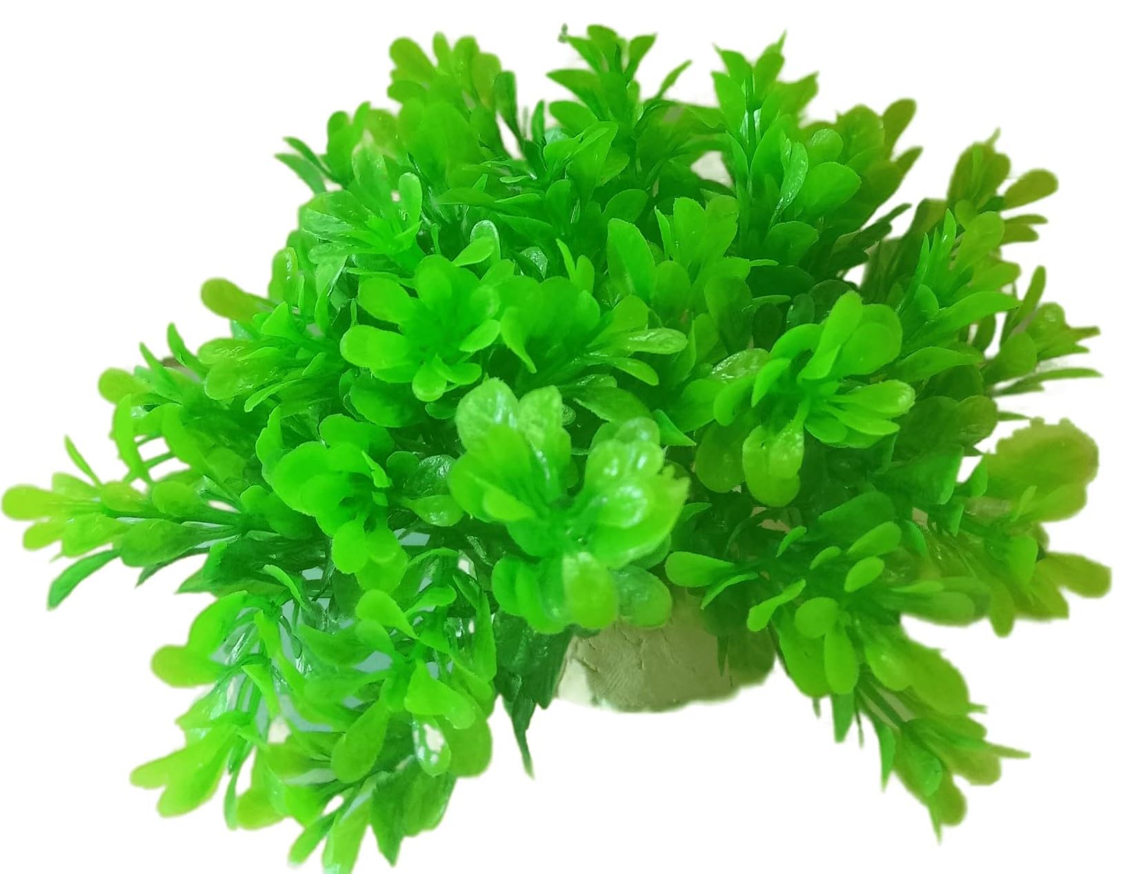 Fluff & Fins Co.s Petite Green Dwarf Bacopa: Adorable, Non-Toxic Artificial Plant for Small Fish Tanks and Decorative Displays (B0C47HRL8K) Amazon Price History, Amazon Price Tracker