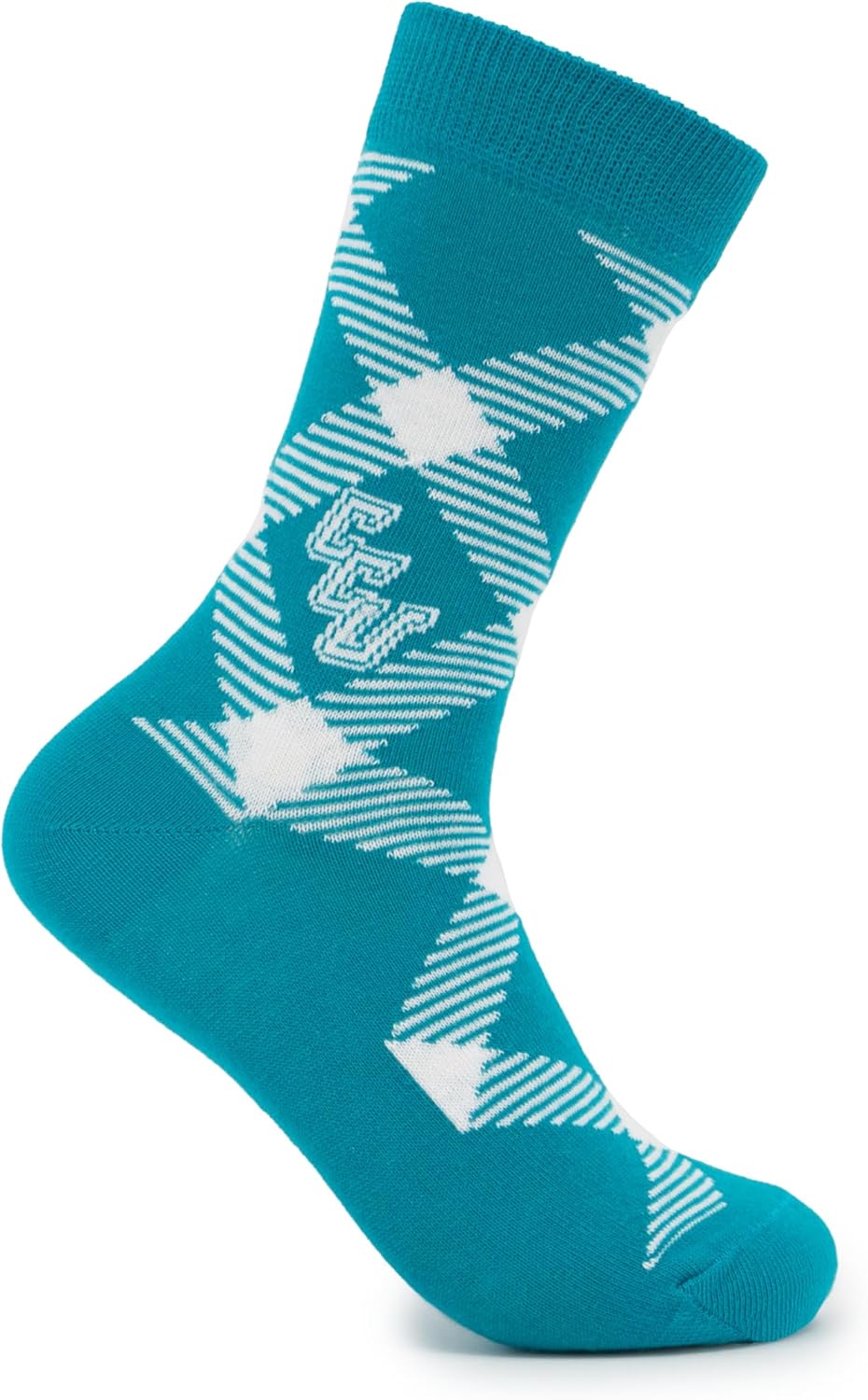 Timeless Tartans Coastal Carolina Silk Necktie and L/XL Cotton Socks Bundle