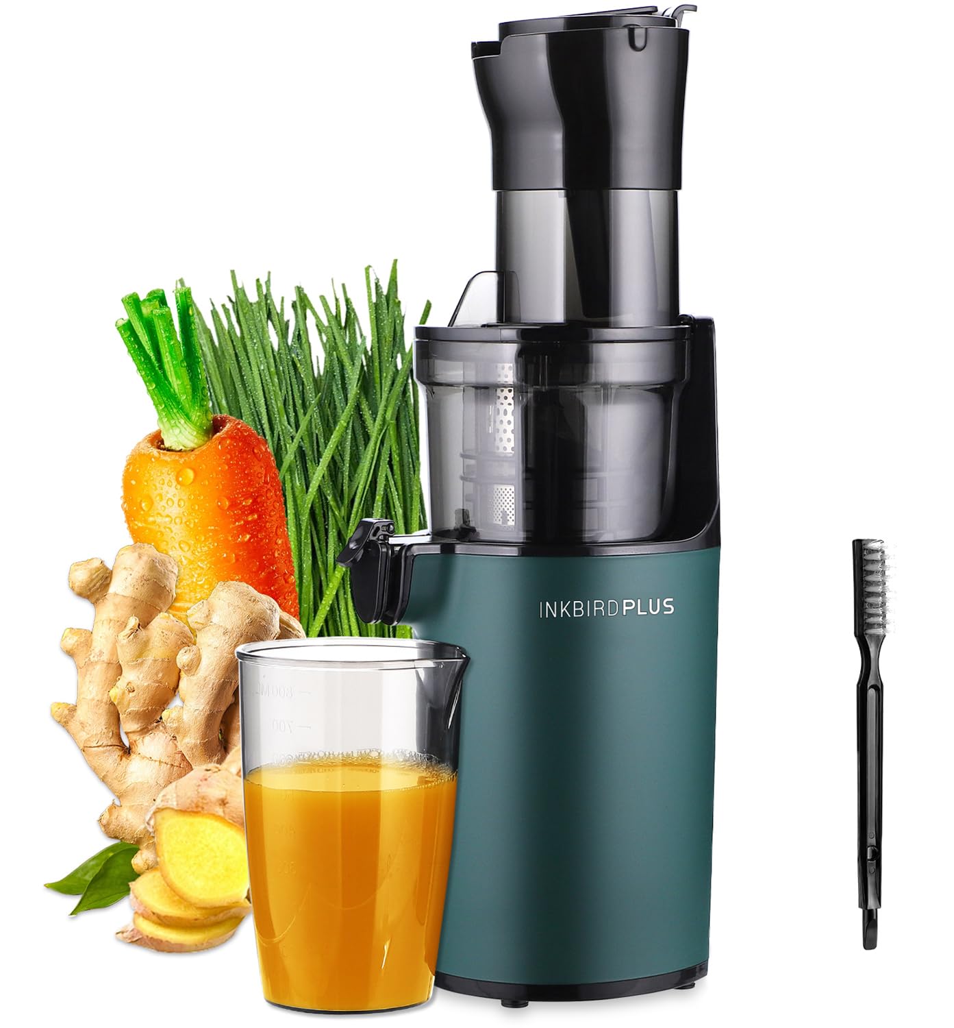 INKBIRDPLUS Masticating Juicer, 200W Slow Cold Press Squeezer Machine with Wide Chute, BPA-Free, Max Nutrient Juicers, High Juice Yield Extractor for Leafy Greens, Celery, Carrot, Fruits & Vegetables