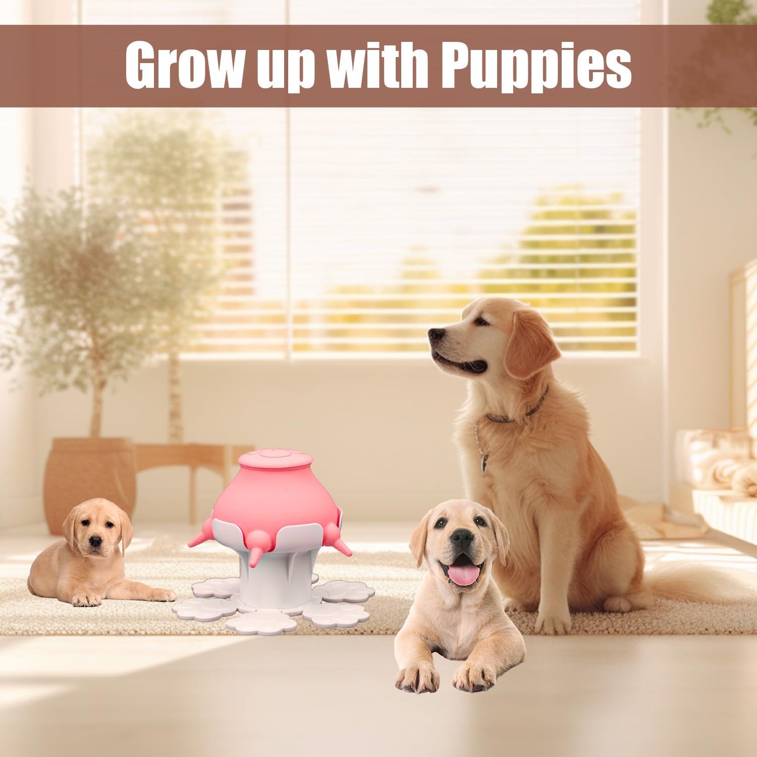 NQEUEPN Mangeoires pour Chiots pour Chiots Multiples, Mangeoire pour Chiot en Silicone à Hauteur Réglable de 300ml avec 5 Tétines pour Chaton Chiot Nouveau-né
