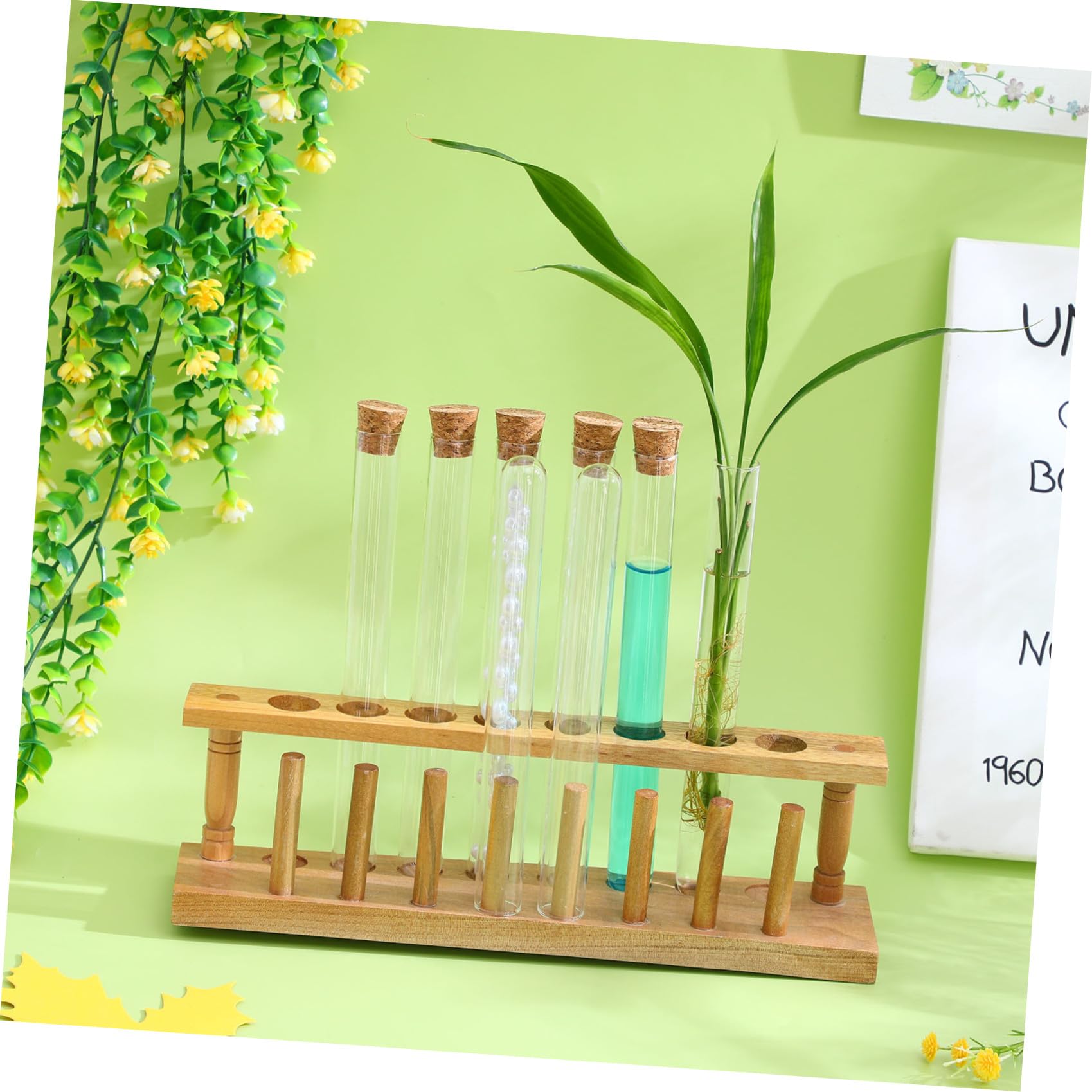 Tubes à Essai Verre 20 CM Fond Rond Lot de 8 Bouchons Liège pour Stockage Liquide et Expériences Scientifiques à Domicile Laboratoire