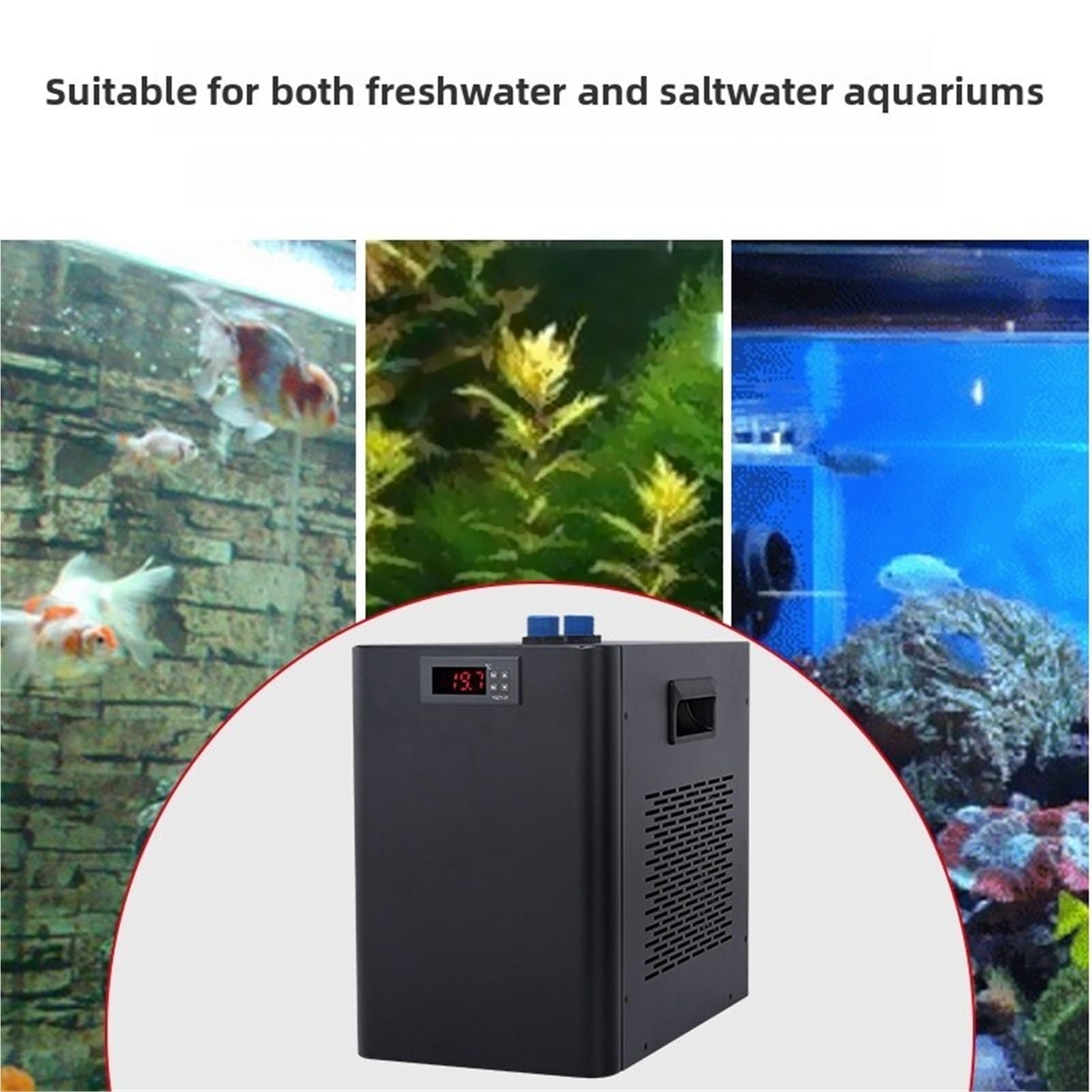 Refroidisseur d'aquarium 1/3P 1/2P 1P, Eau salée Douce à Faible Bruit, économie d'énergie, avec Tuyau de Pompe Large Application(160L-1/10P)